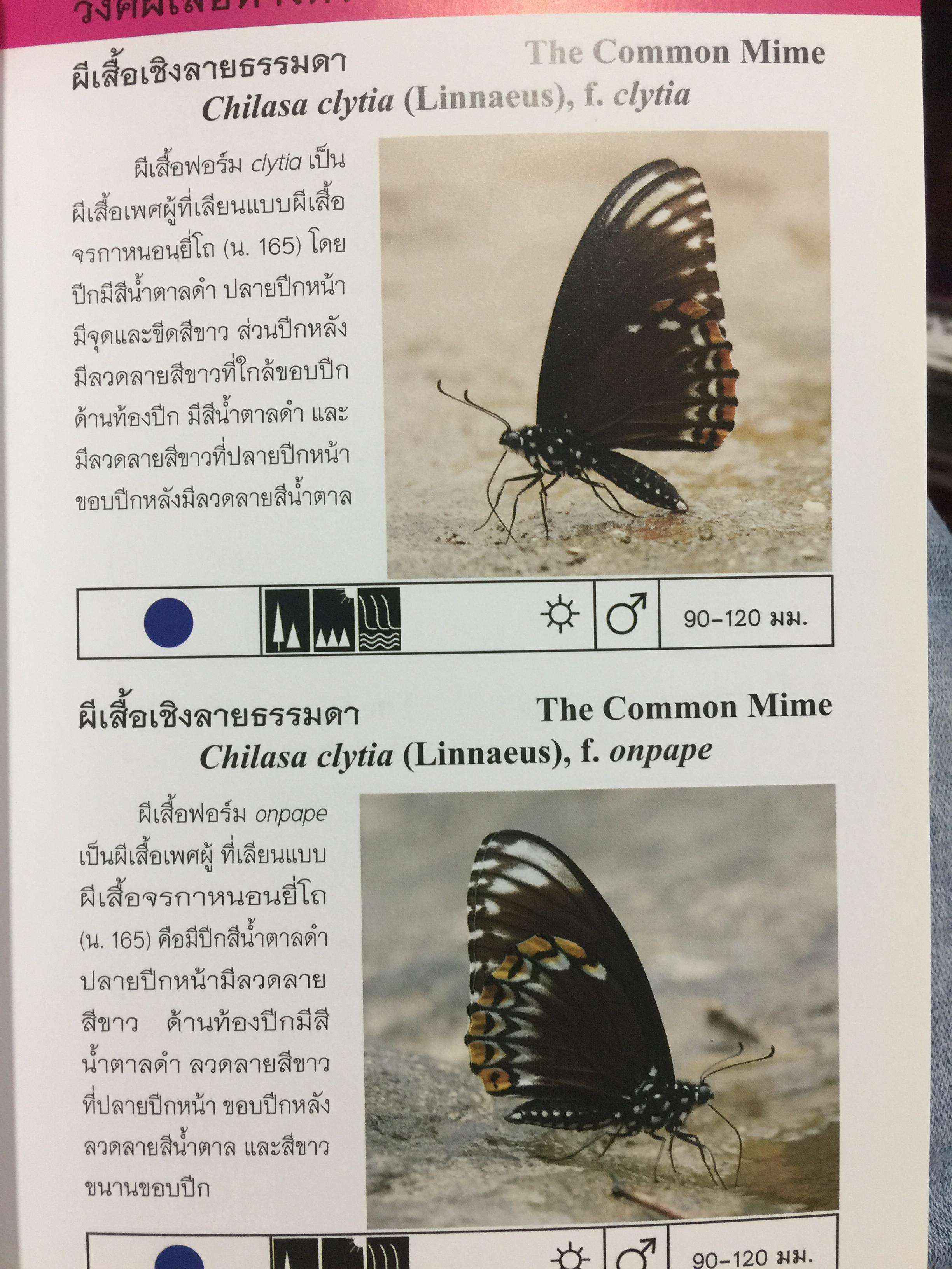 บันทึกผีเสื้อ 2. BUTTERFLIES AND SKIPPERS จัดทำโดย สำนักวิจัยการอนุรักษ์ป่าไม้และพันธุ์พืช กรมอุทยานแห่งชาติ สัตว์ป่าและพันธุ์พืช 0 กก.