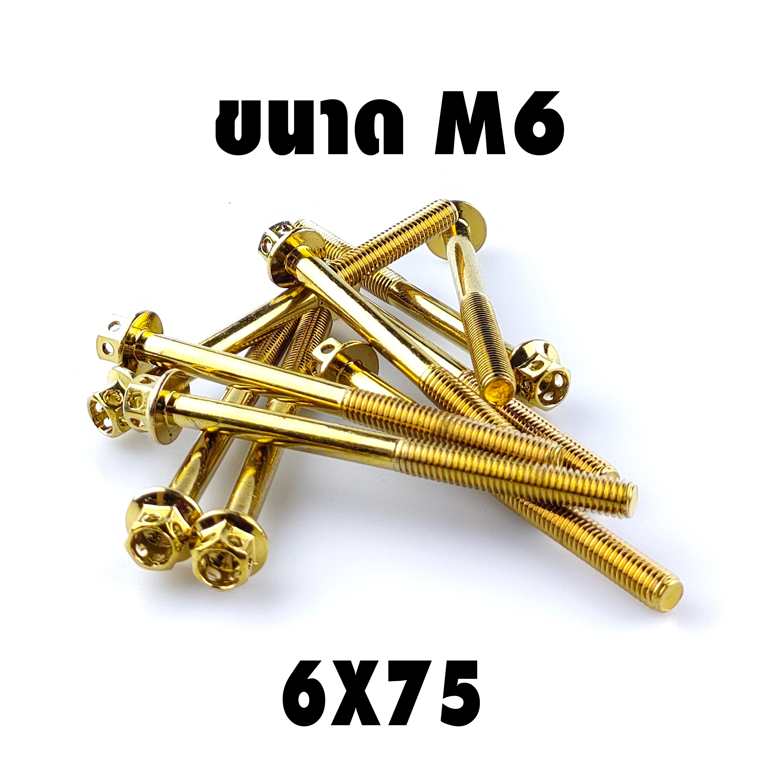 น็อตหัวเจาะสีทอง (เบอร์10 M6X75)