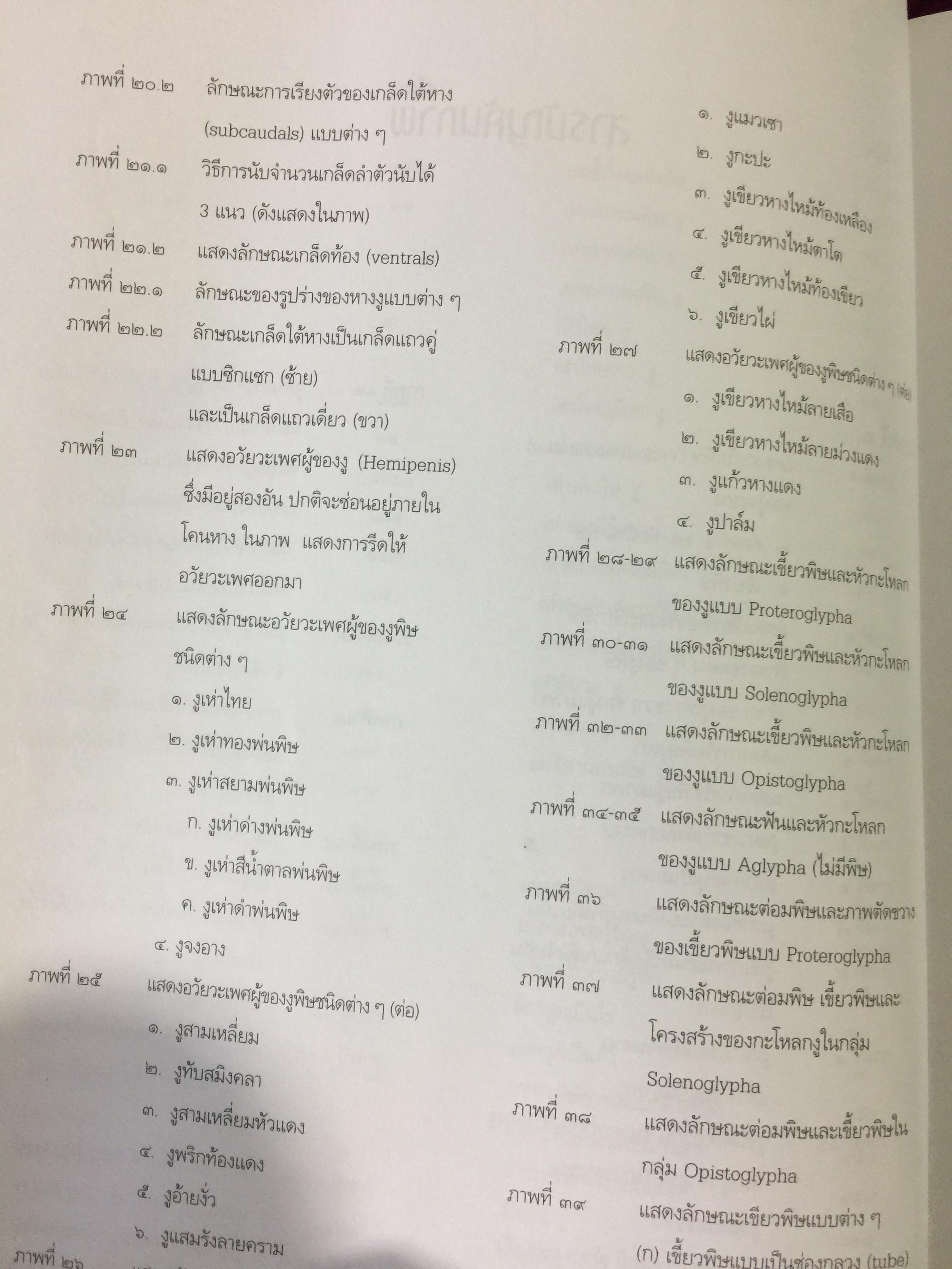 งูพิษ ในประเทศไทย ทุกแง่มุมชีวิตและลักษณะนิสัยของงูพิษ โดยผู้เชี่ยวชาญเรื่องงูมากที่สุดในประเทศไทยผู้เขียน ไพบูลย์ จินตกุล 0 กก.
