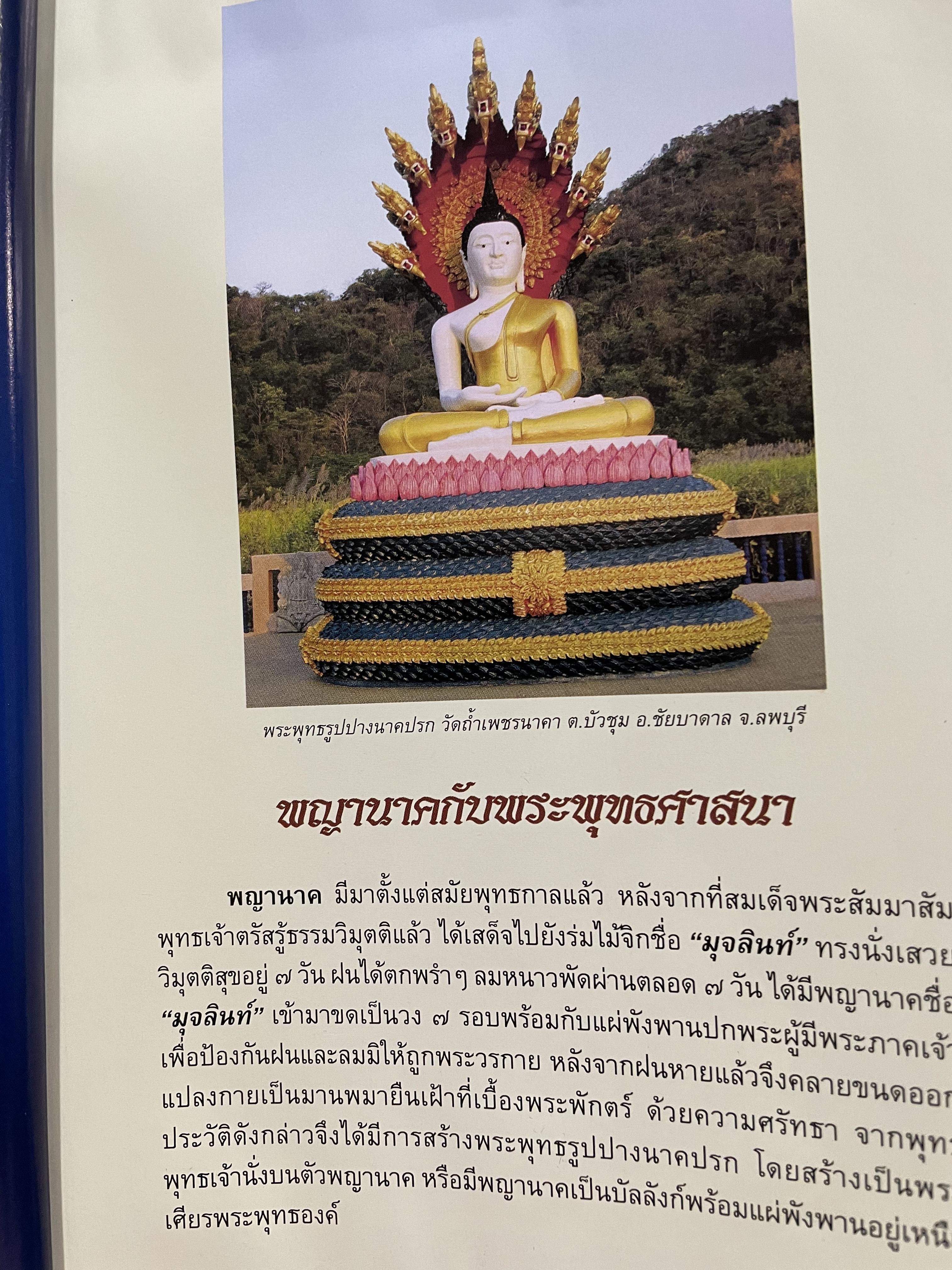 อัศจรรย์บั้งไฟพญานาค รวมภาพและประสบการณ์บั้งไฟพญานาค ปาฏิหาริย์แห่งนาคพิภพ (ไม่มีพระผงพญานาคราชที่แจก) ผู้เขียน อาจารย์ทศพล จังพานิชยากุล) 3,500 กรัม