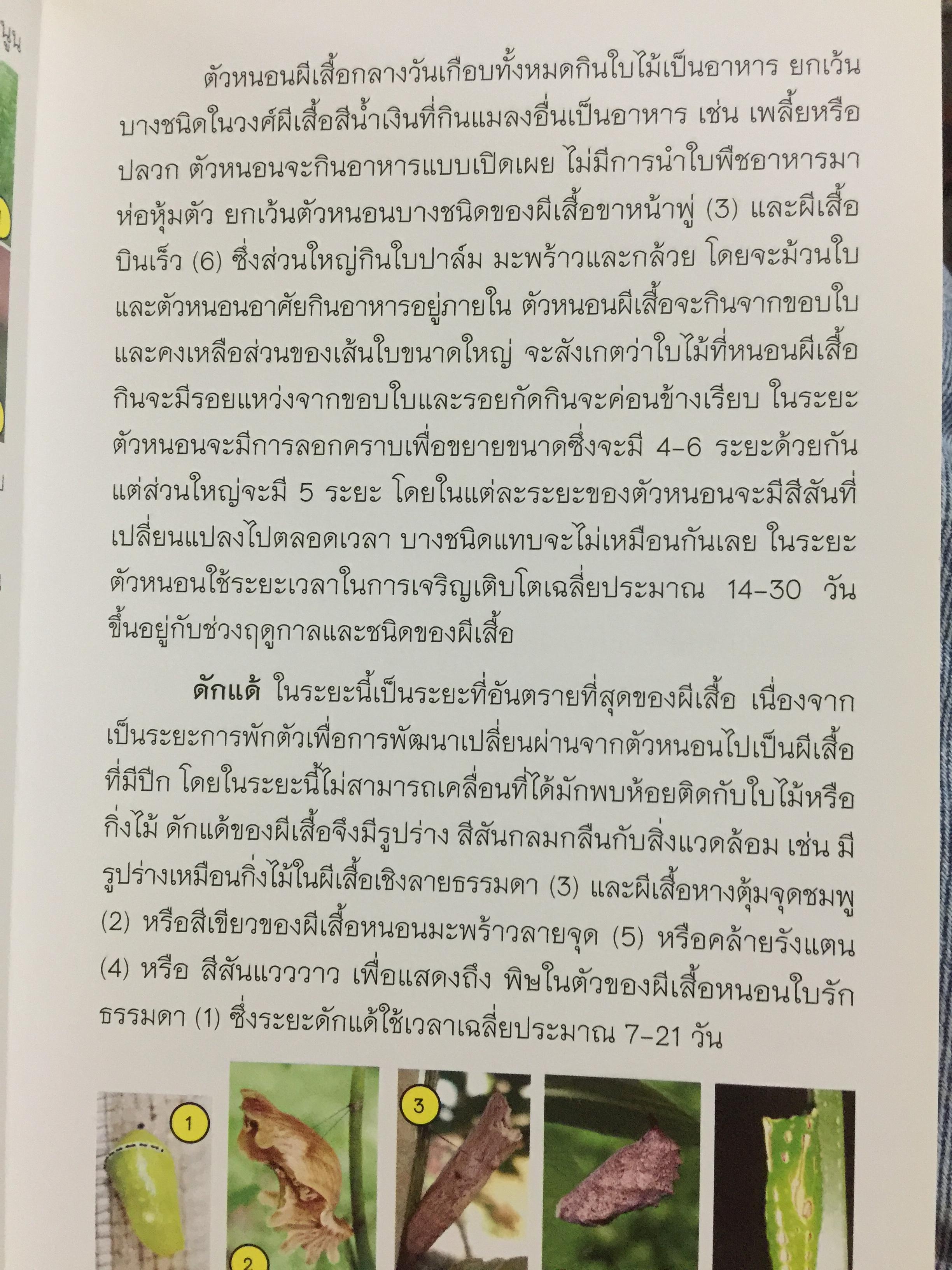 คู่มือการเพาะเลี้ยงผีเสื้อ. จัดทำโดย สำนักวิจัยการอนุรักษ์ป่าไม้และพันธุ์พืช กรมอุทยานแห่งชาติ สัตว์ป่า และพันธุ์พืช 0 กก.