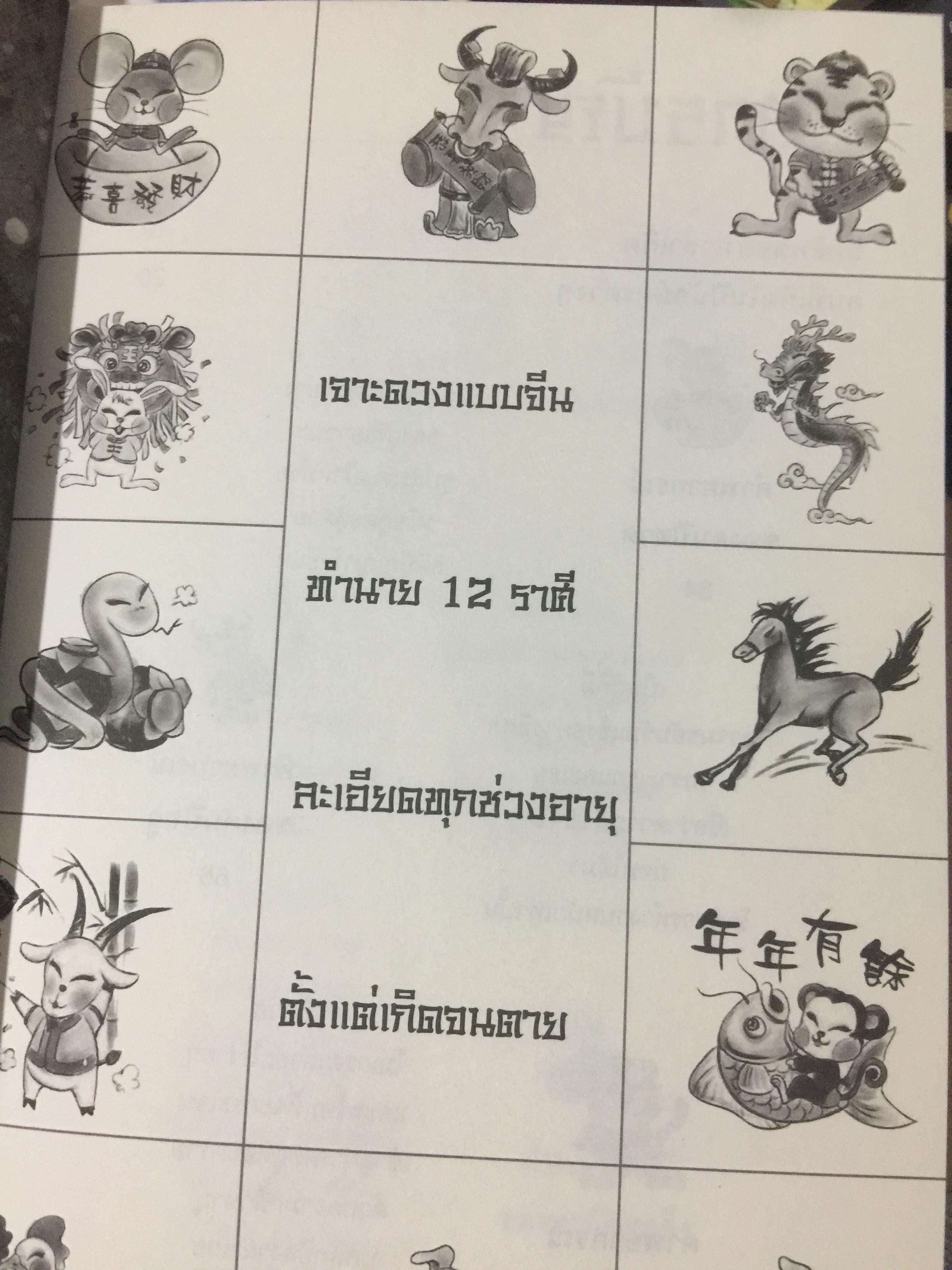 ความลับแห่งฟ้า รู้ทันดวงชะตา. แม่นยำ ชัดตรง ดูดวง 12 นักษัตรแบบจีน ผู้เขียนซินแสแซ่อึ้ง 0 กก.
