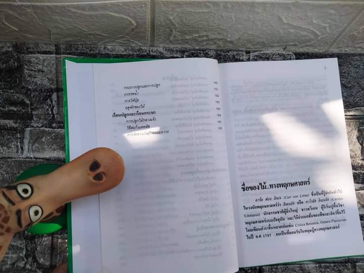 ตำราปลูกเลี้ยงและขยายพันธุ์ แคคตัส และ ไม้ใบอวบ