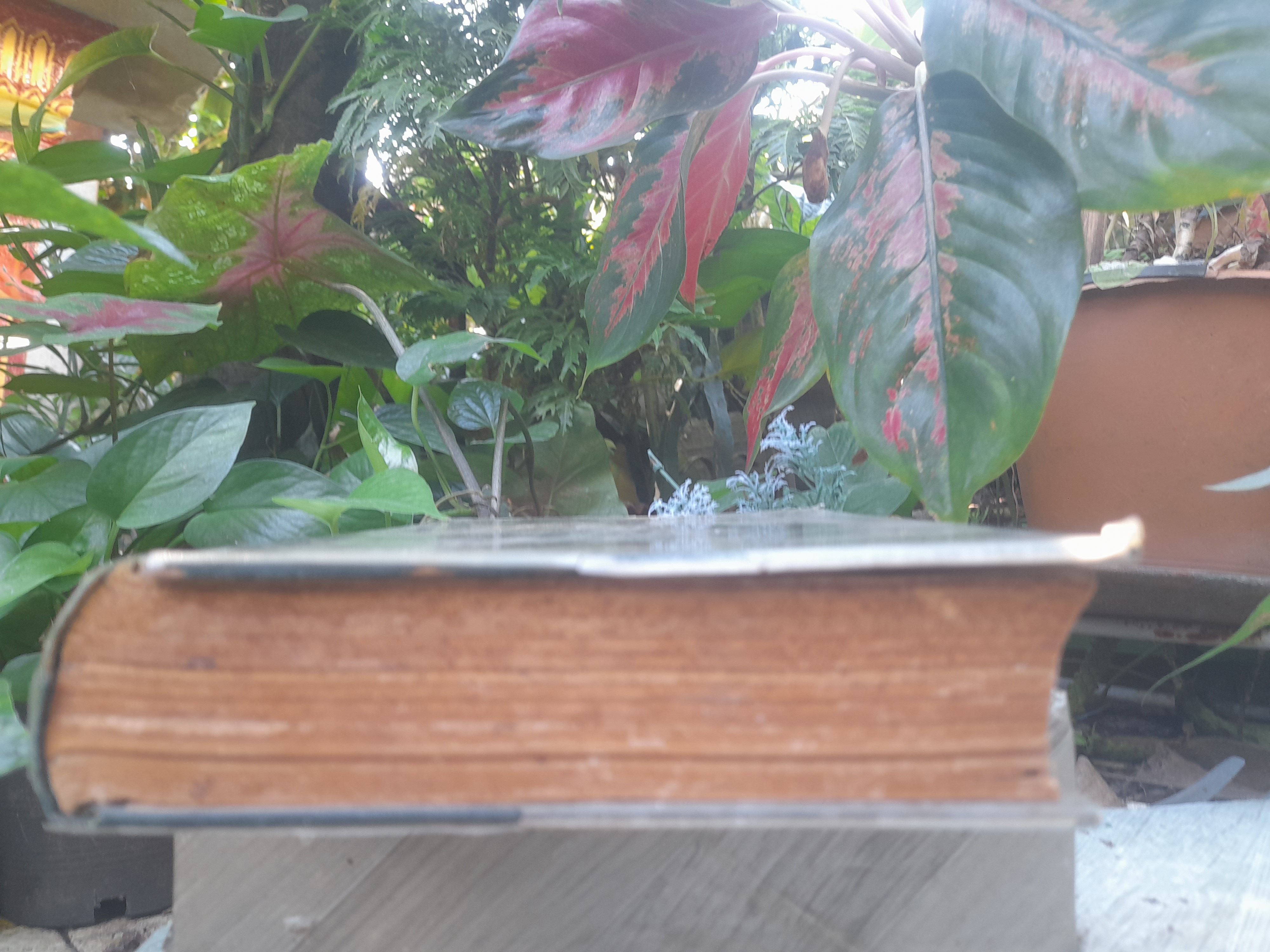 วิถีแห่งสุขภาพ โดย ฮิวเบอร์ต โอ. สวอร์เทาท์ ว่าด้วยปัญหาสุขภาพที่พึงรู้ ใช้ศัพท์ทั่วไปเข้าใจง่าย เพื่อสุขภาพอนามัยที่ดี