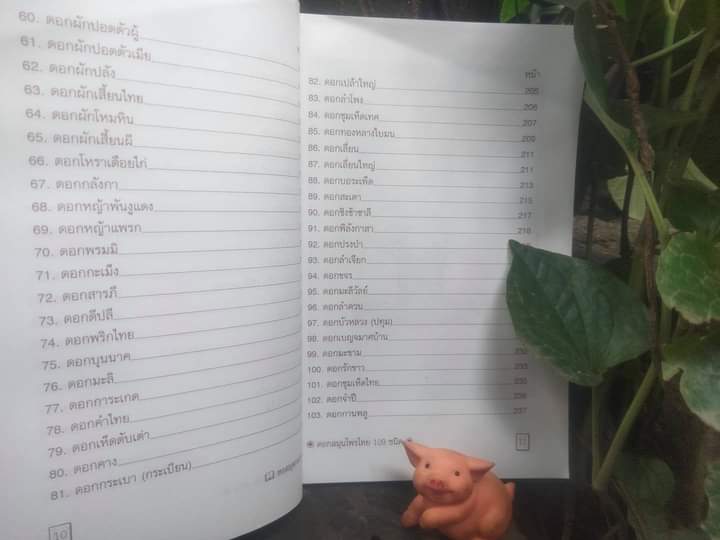 ตำราดอกสมุนไพร 109 ชนิด สรรพคุณเยี่ยม