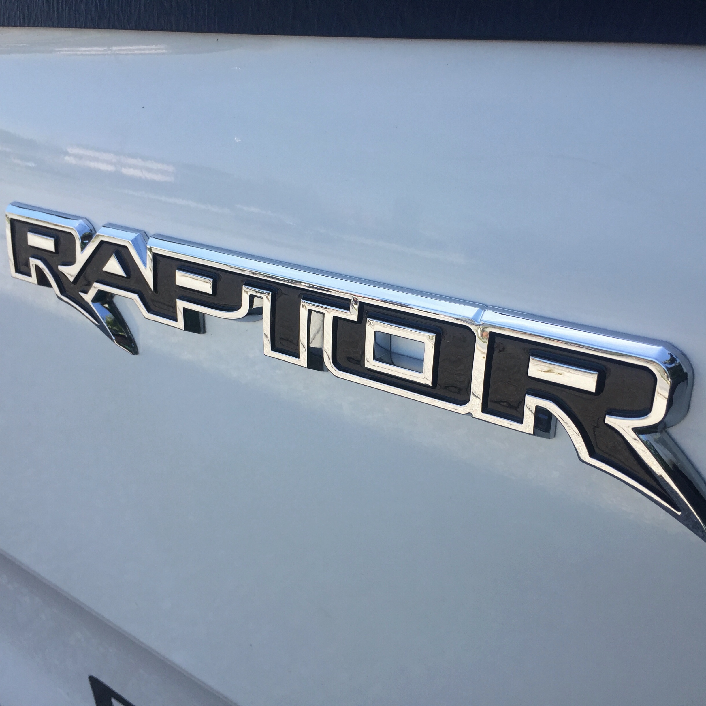 ตัวนูน Raptor