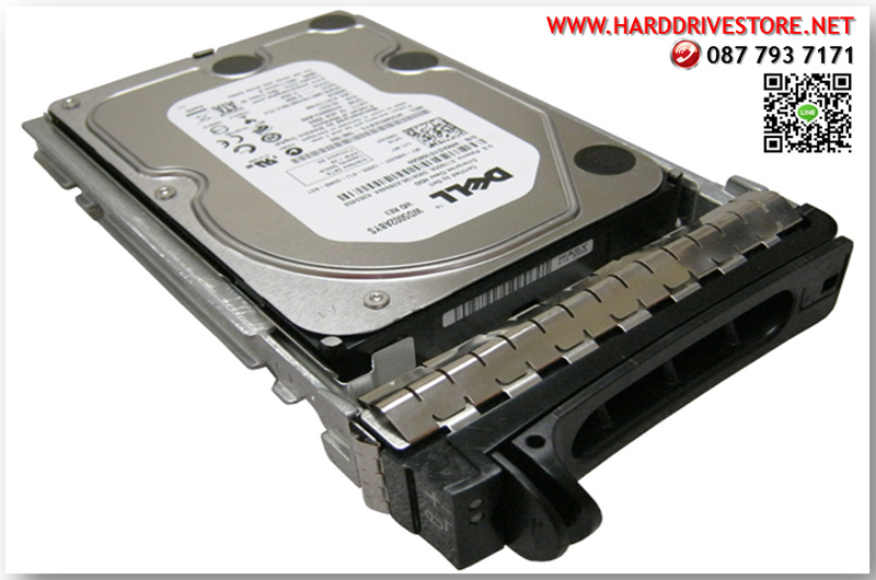 00D4955 [ขาย จําหน่าย ราคา] IBM 4GB (1x4GB, 2Rx8, 1.5V) PC3-12800 CL11 ECC DDR3 1600MHz LP UDIMM