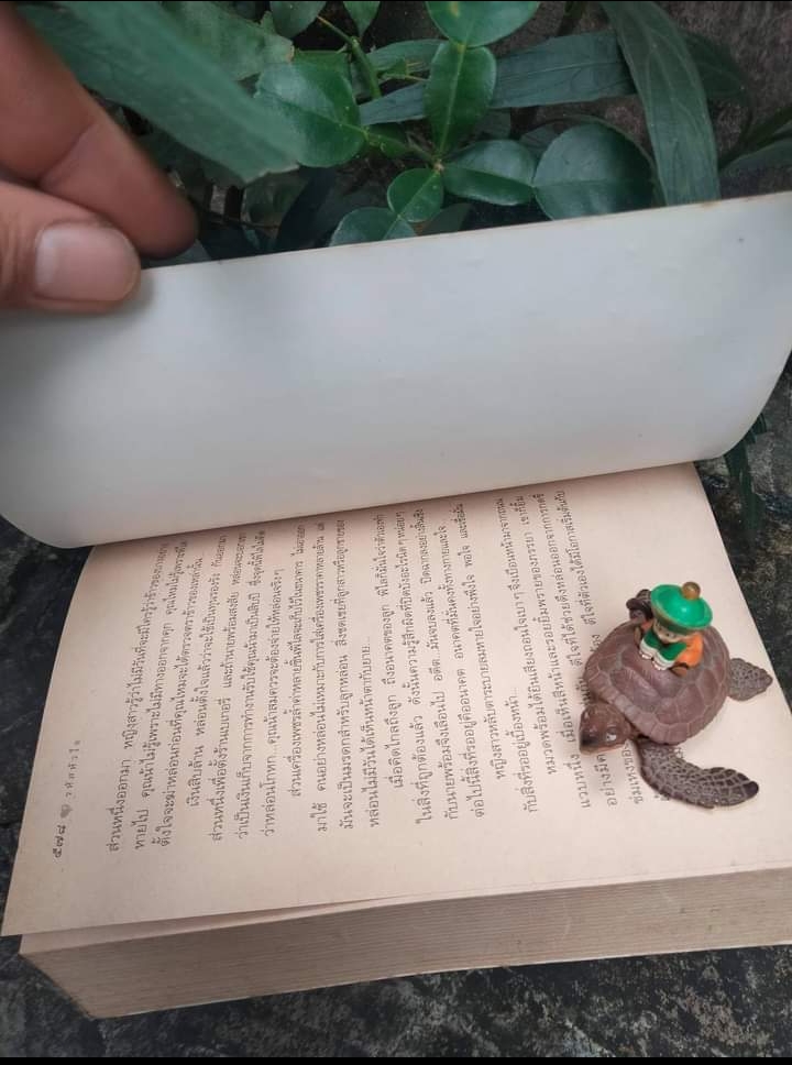 รหัสหัวใจ โดย กิ่งฉัตร