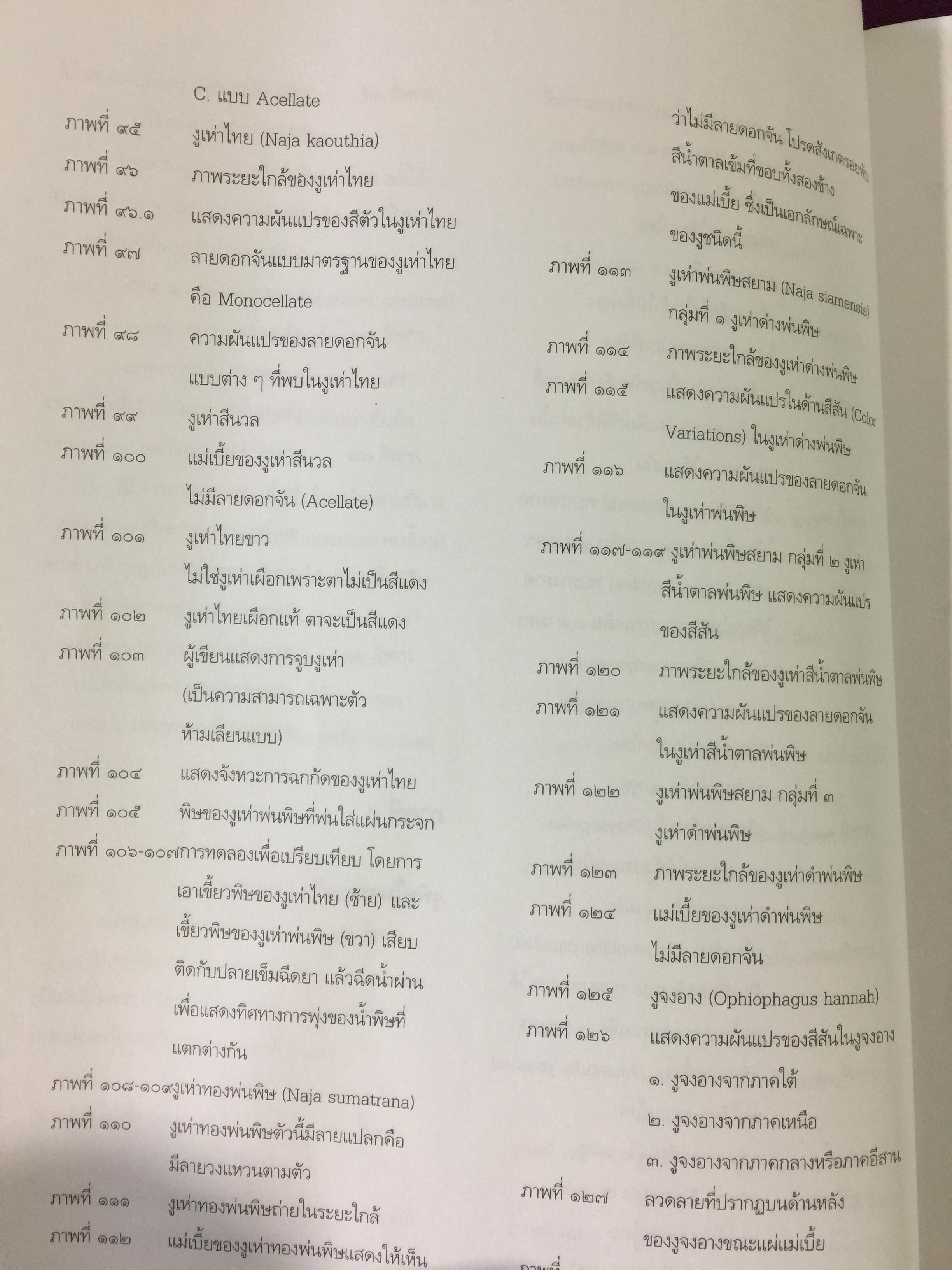 งูพิษ ในประเทศไทย ทุกแง่มุมชีวิตและลักษณะนิสัยของงูพิษ โดยผู้เชี่ยวชาญเรื่องงูมากที่สุดในประเทศไทยผู้เขียน ไพบูลย์ จินตกุล 0 กก.