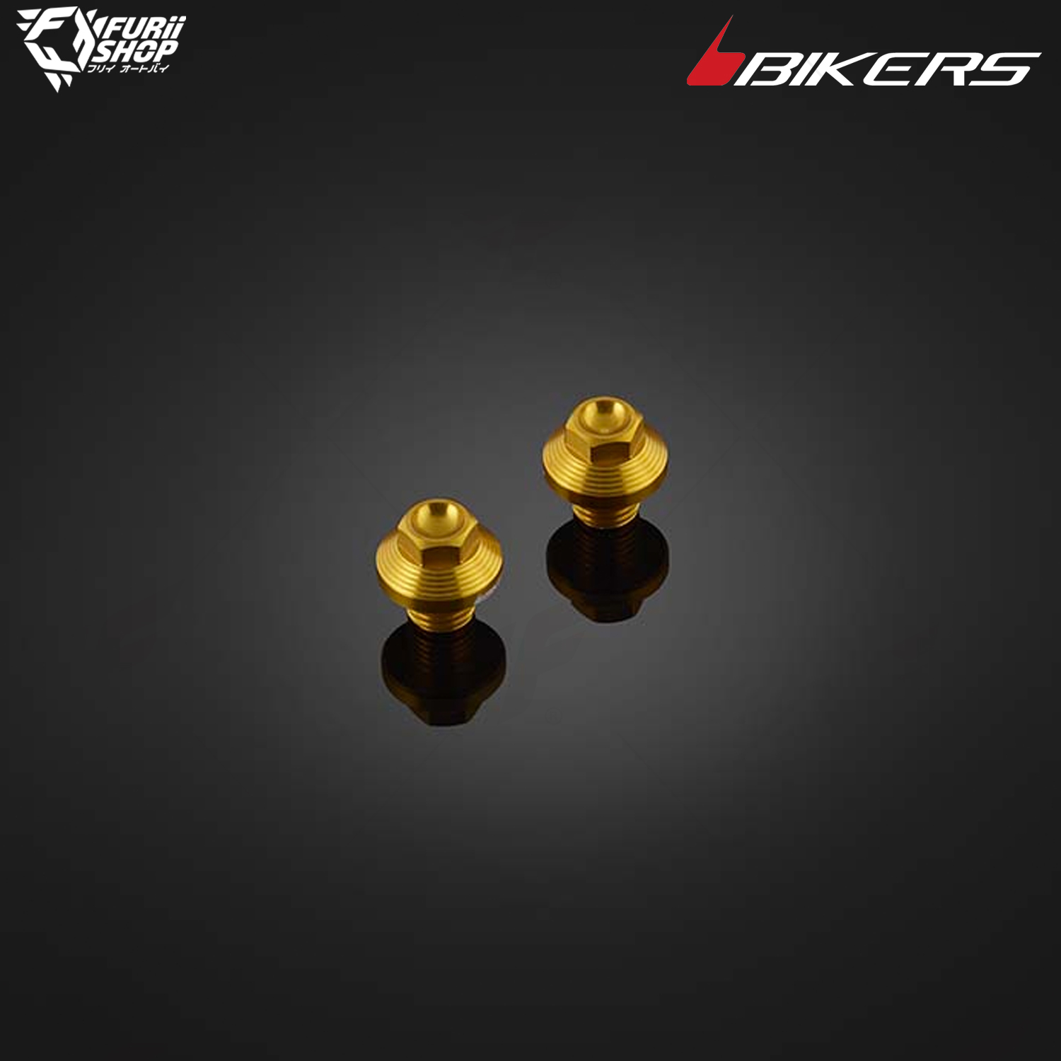 โบลท์ปิดรูหูกระจก (2 ตัว) Bikers Bolts For Mirror Hole (2 Pieces) : for Lambretta X300
