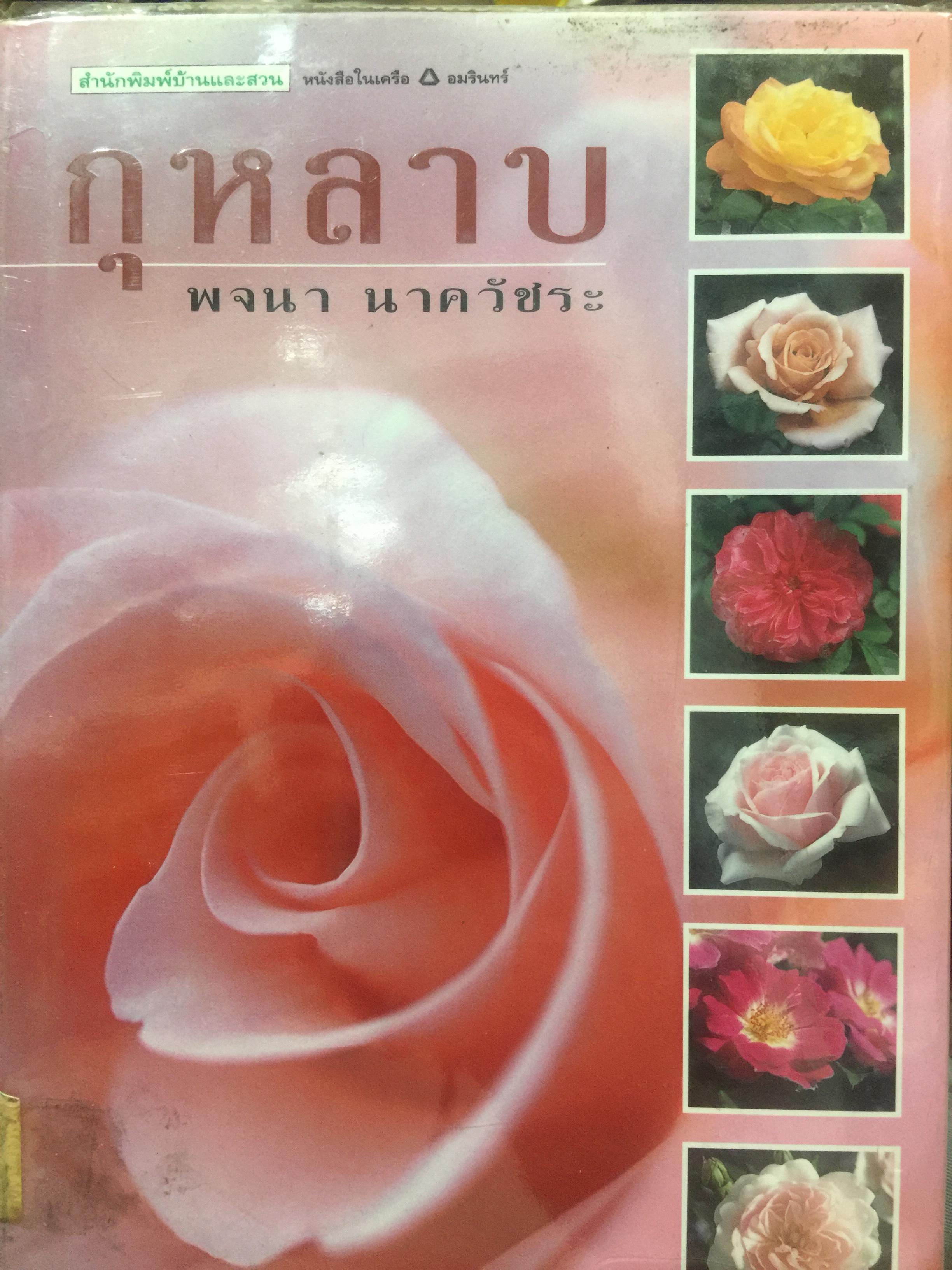 กุหลาบ. ผู้เขียน พจนา นาควัชระ 3 กก.