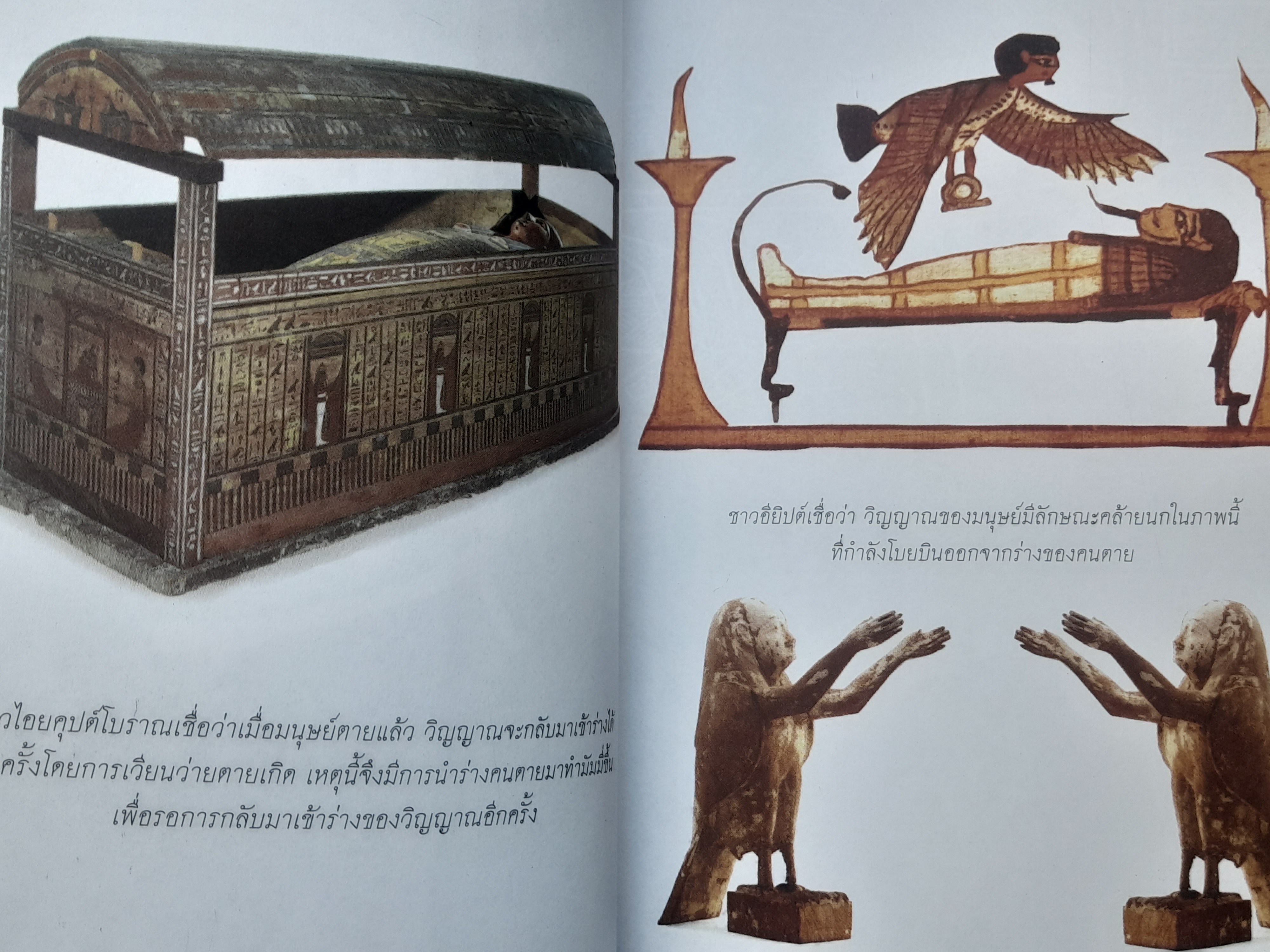 ศาสตร์แห่งการระลึกชาติและตายแล้วไปไหน โดย บรรยง บุญฤทธิ์ หนังสือมือหนึ่งครับ