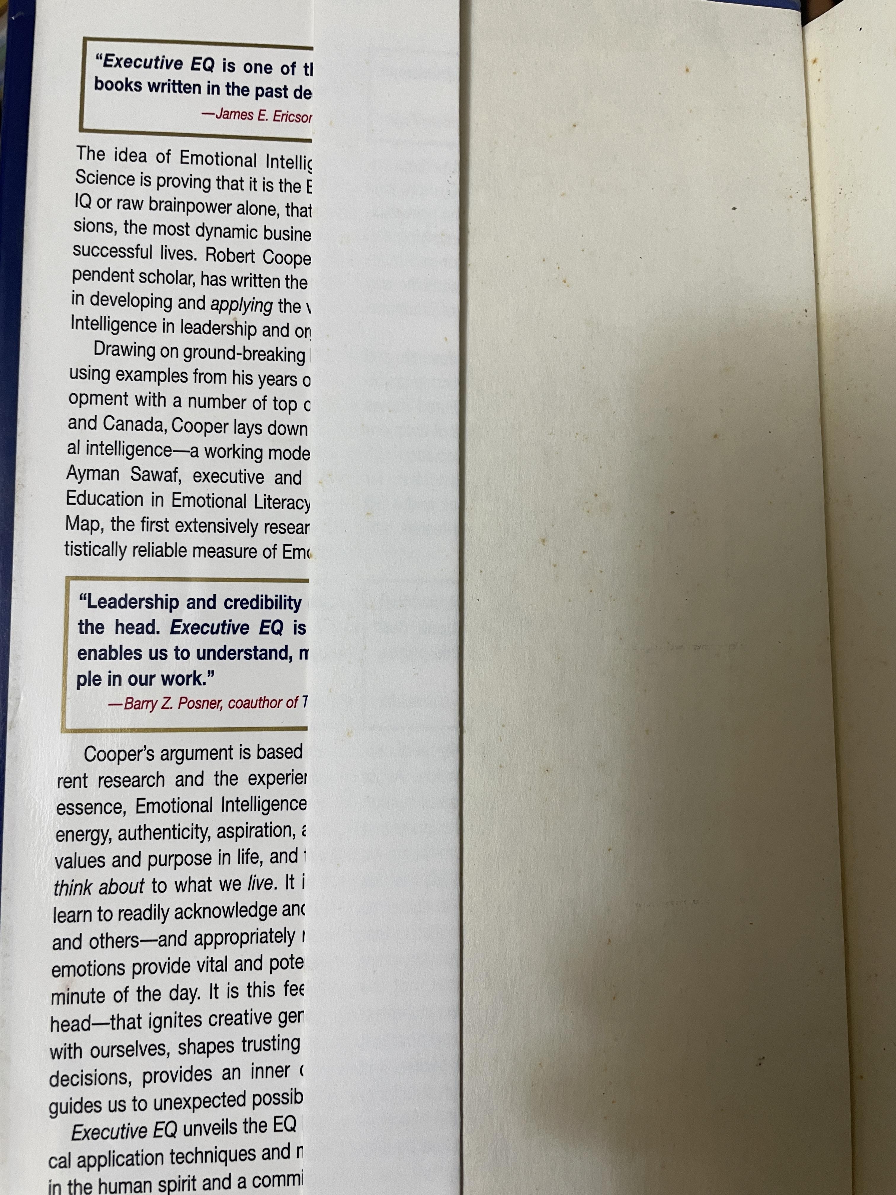 Executive EQ. Emotional Intelligence in Leadership & Organizations. 3,500 กรัม
