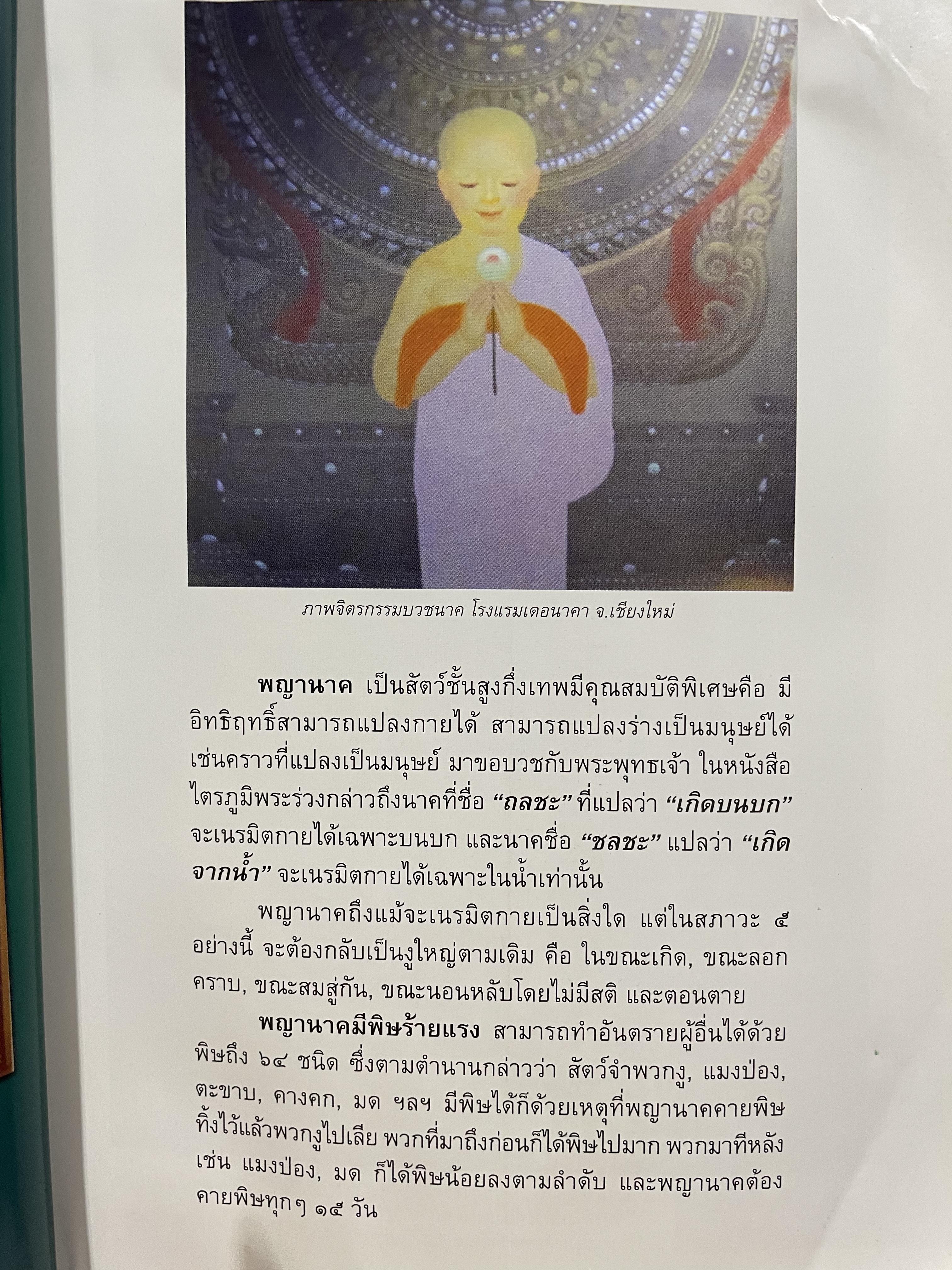 อัศจรรย์บั้งไฟพญานาค รวมภาพและประสบการณ์บั้งไฟพญานาค ปาฏิหาริย์แห่งนาคพิภพ (ไม่มีพระผงพญานาคราชที่แจก) ผู้เขียน อาจารย์ทศพล จังพานิชยากุล) 3,500 กรัม