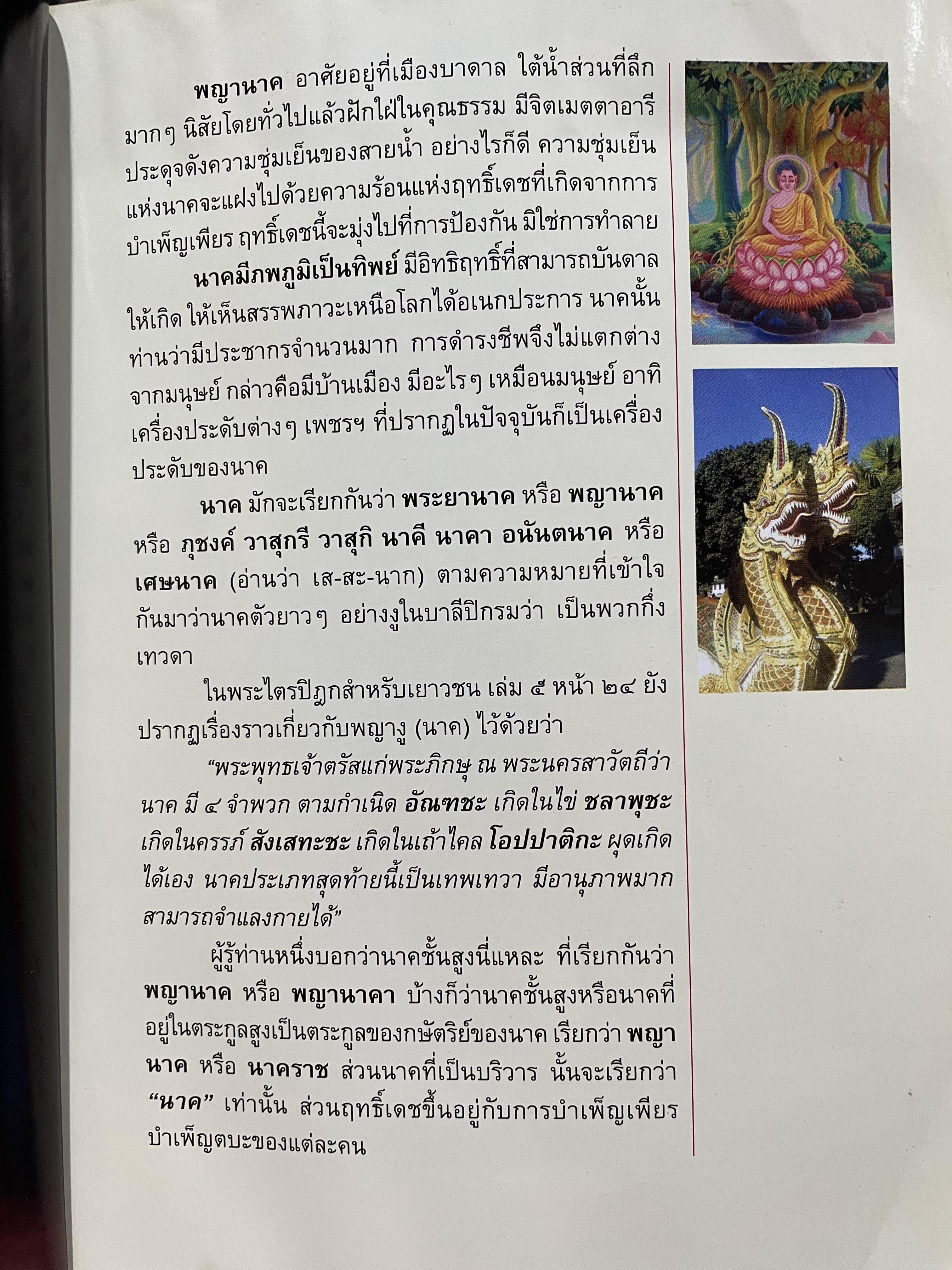 อัศจรรย์บั้งไฟพญานาค รวมภาพและประสบการณ์บั้งไฟพญานาค ปาฏิหาริย์แห่งนาคพิภพ (ไม่มีพระผงพญานาคราชที่แจก) ผู้เขียน อาจารย์ทศพล จังพานิชยากุล) 3,500 กรัม