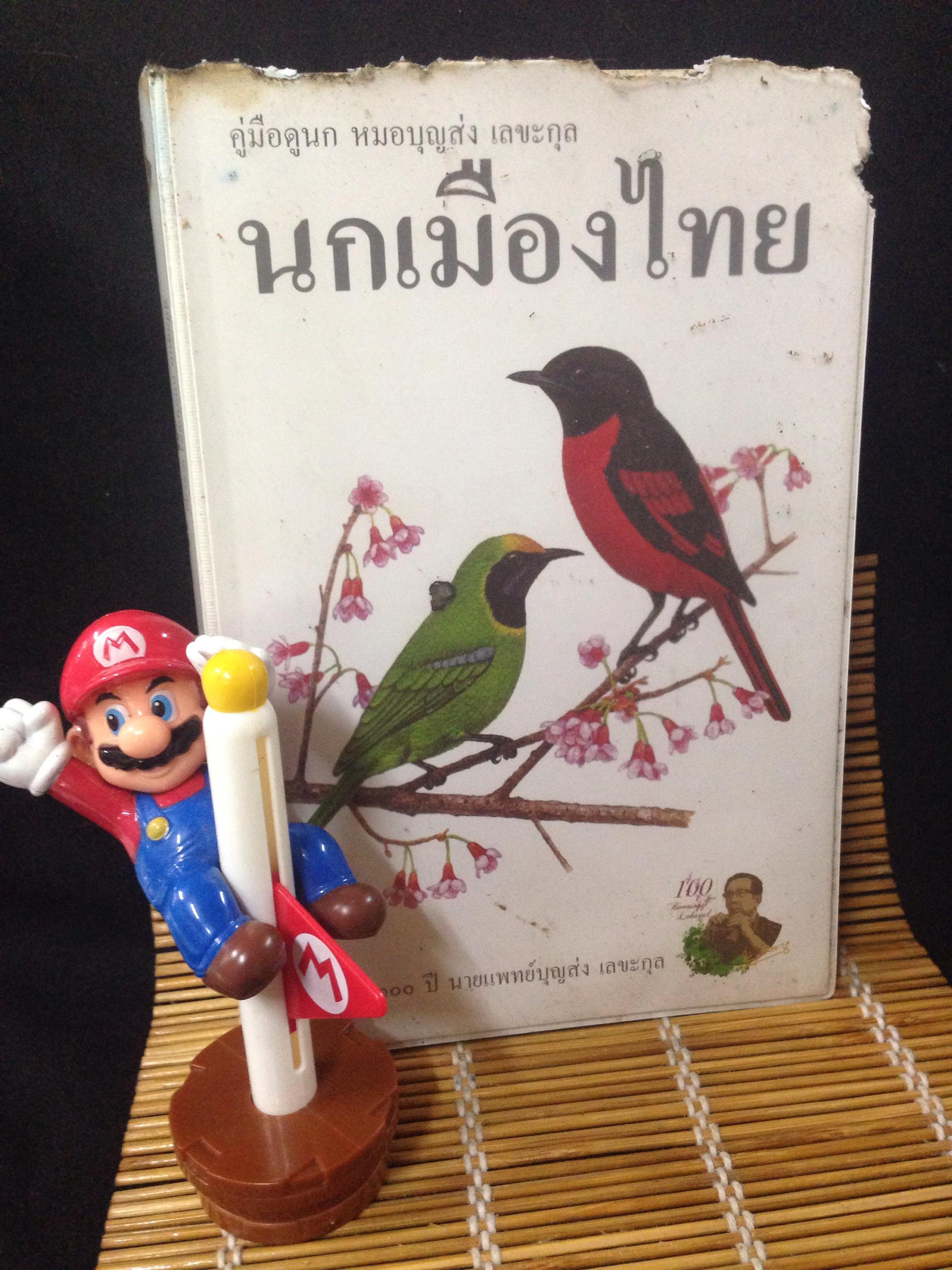 คู่มือดูนก หมอบุญส่ง เลขะกุล นกเมืองไทย