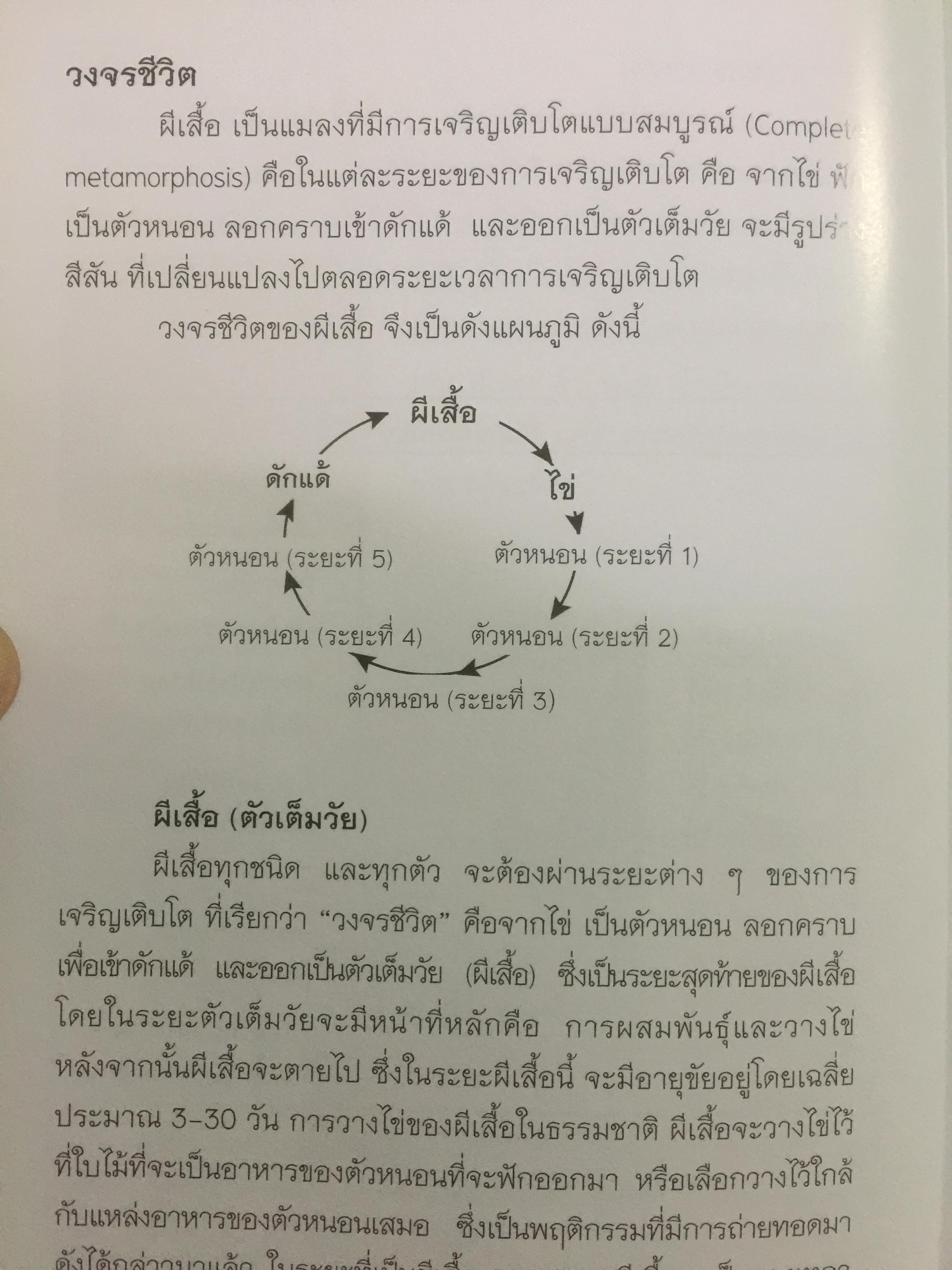 คู่มือผีเสื้อ. จัดทำโดย สำนักวิจัยการอนุรักษ์ป่าไม้และพันธุ์พืช กรมอุทยานแห่งชาติ สัตว์ป่า และพันธุ์พืช 0 กก.