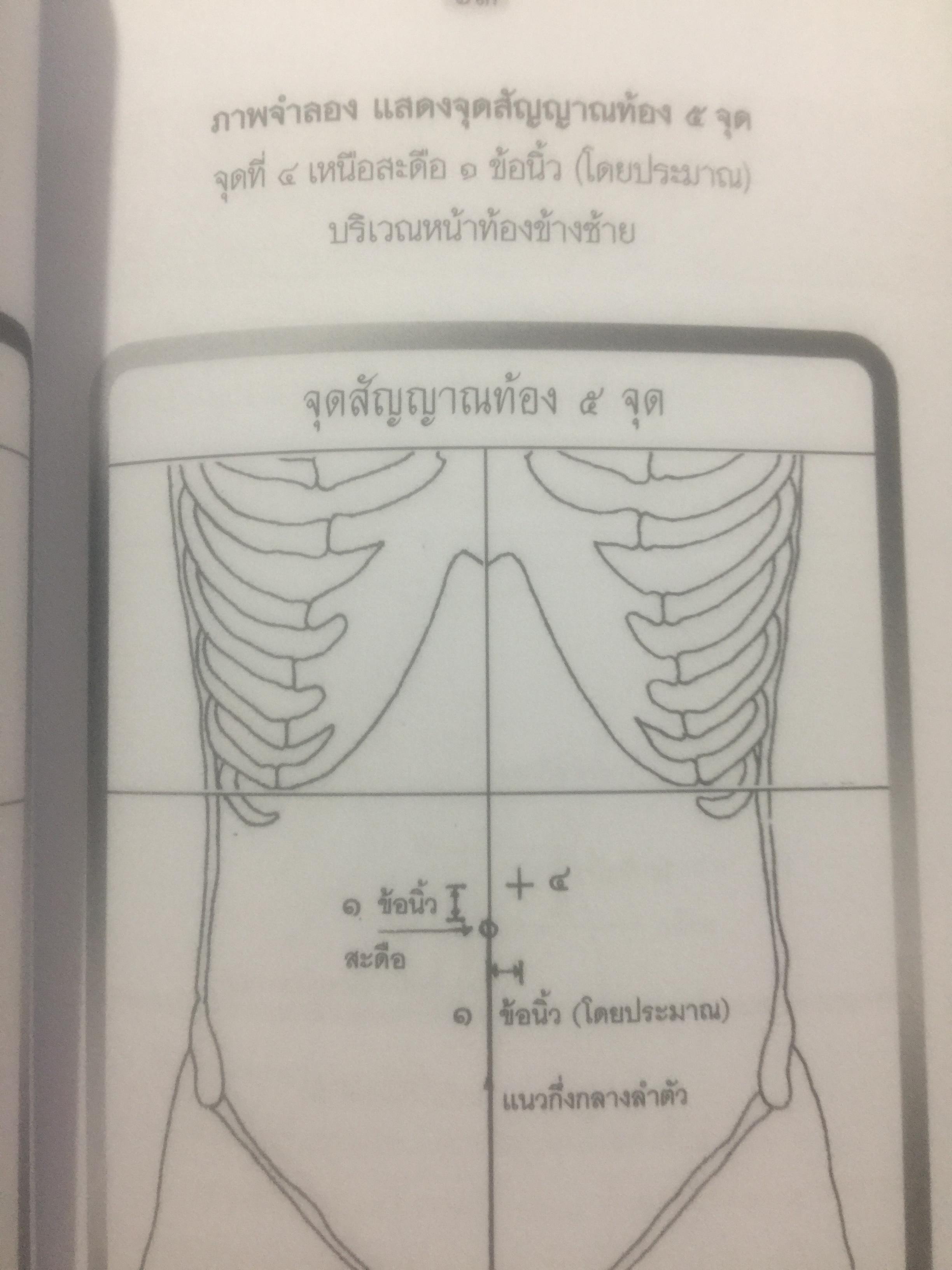 นวดราชสำนัก ตอนจุดสัญญาณ. เป็นศาสตร์และศิลป์ของการนวดแบบดั้งเดิม. สุดยอดของการนวดที่นำไปปฎิบัติได้อย่างถูกวิธี 0 กก.