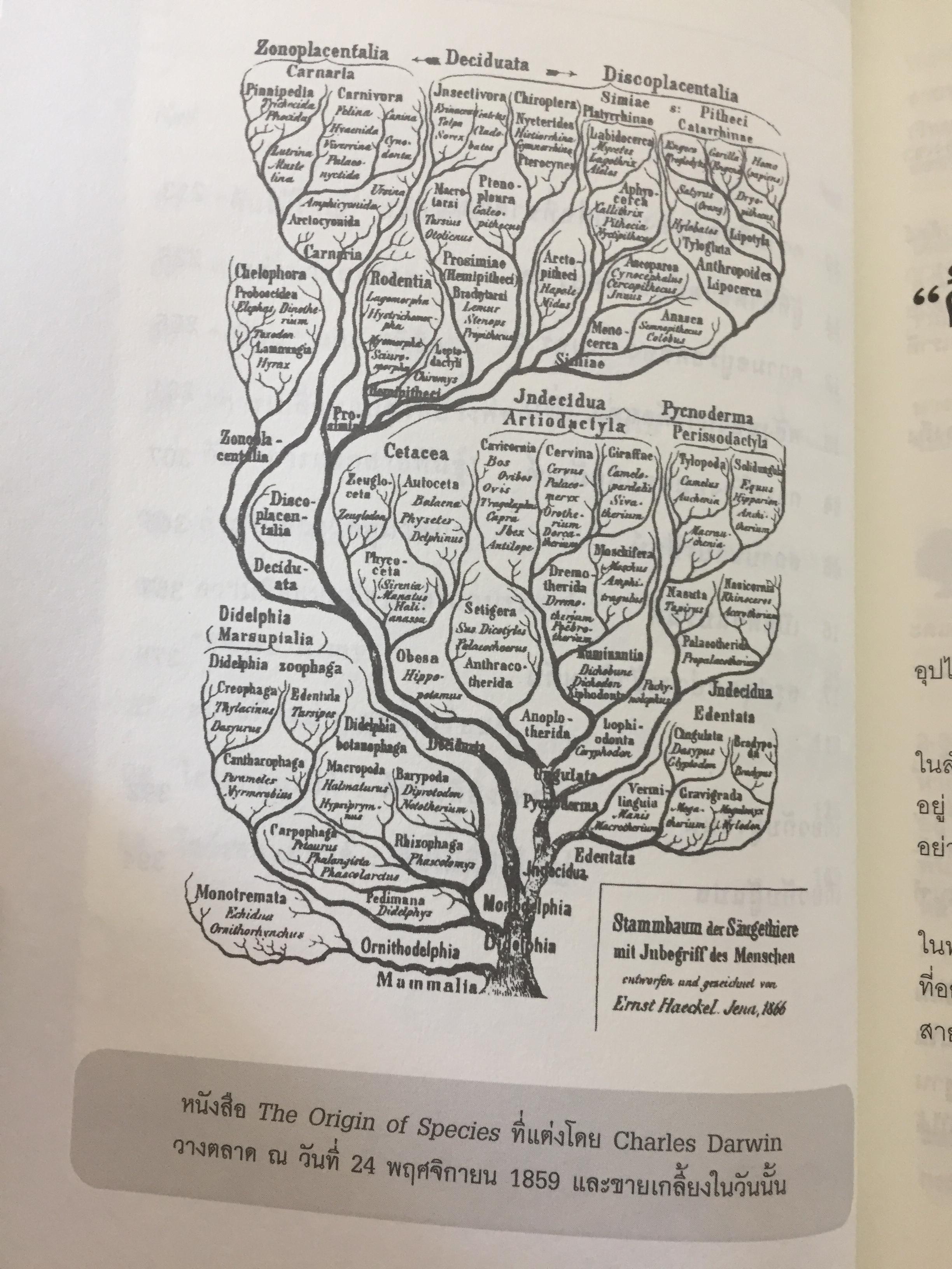 ต้นกำเนิดแบรนด์. THE ORIGIN OF BRANDS. ค้นพบกฏธรรมชาติของนวัตกรรมผลิตภัณฑ์และการอยู่รอดทางธุรกิจ 0 กก.