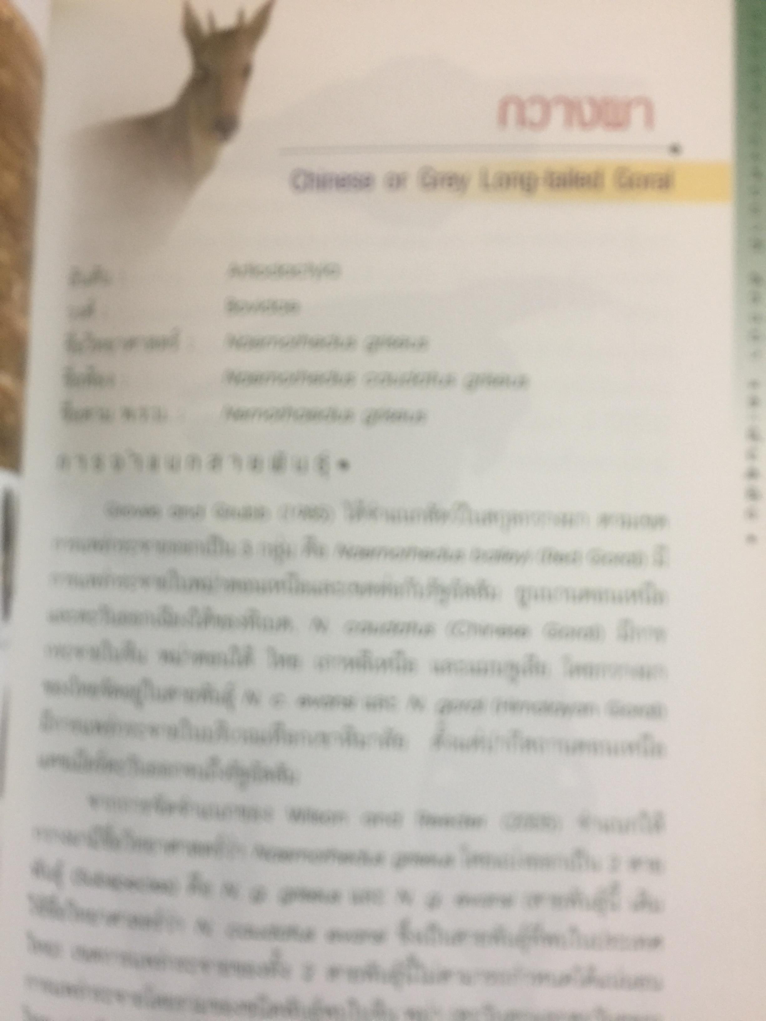 สัตว์ป่าสงวนในประเทศไทย Reserved Animals of Thailand 0 กก.