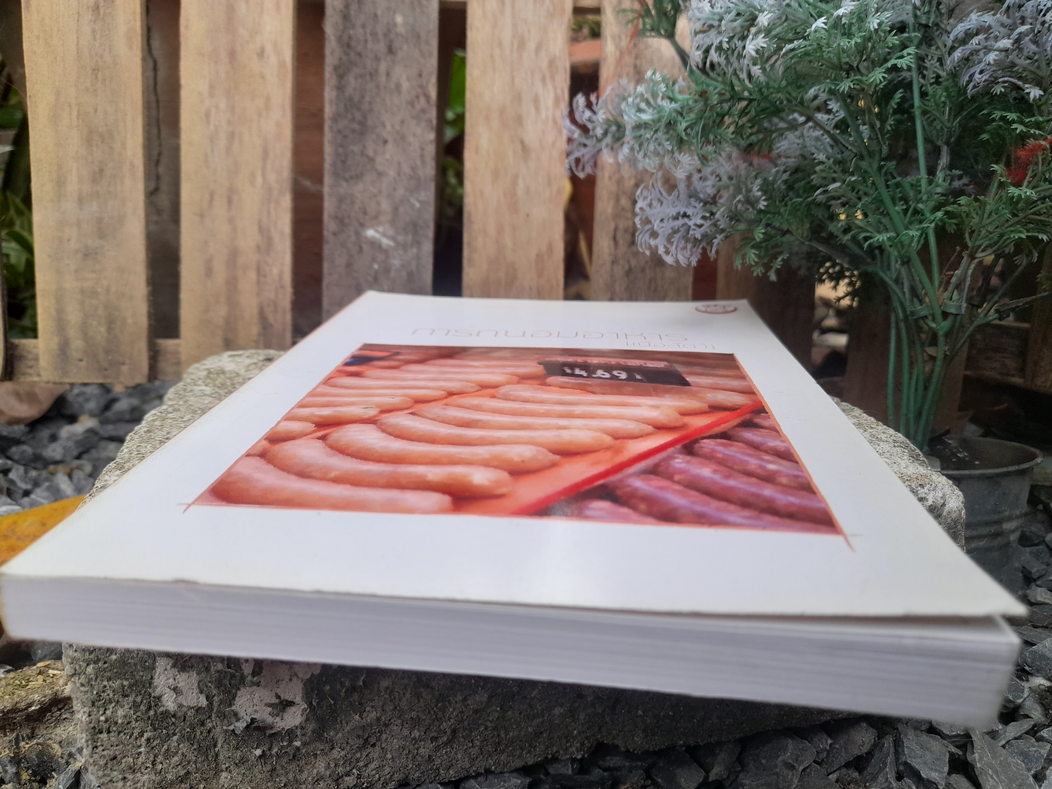 การถนอมอาหาร (เนื้อสัตว์)