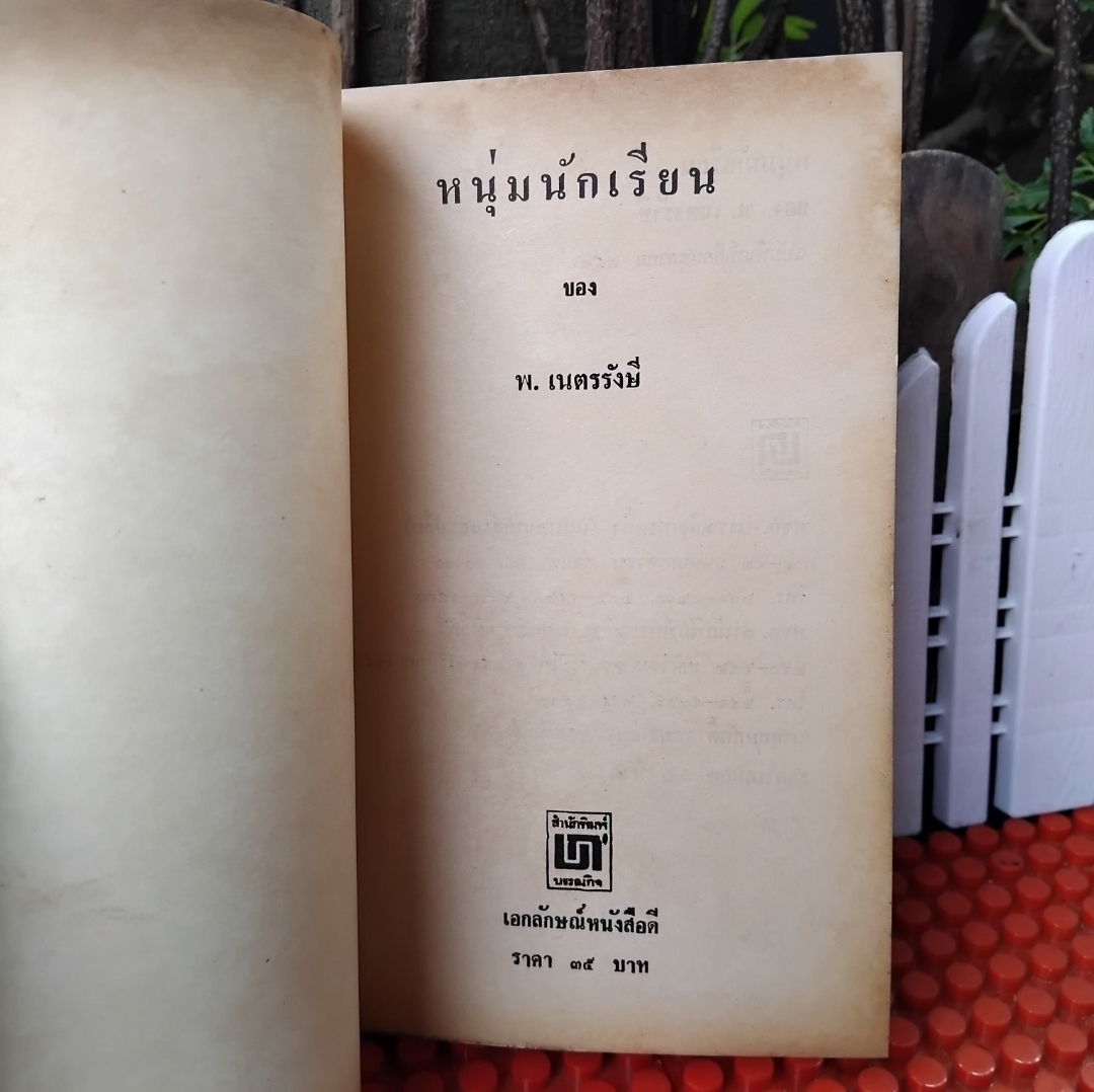 หนุ่มนักเรียน โดย พ.เนตรรังษี ภาคต่อของของเด็กบ้านสวน มือ1 วรรณกรรมชีวิตนักเรียนไทยปี 2460
