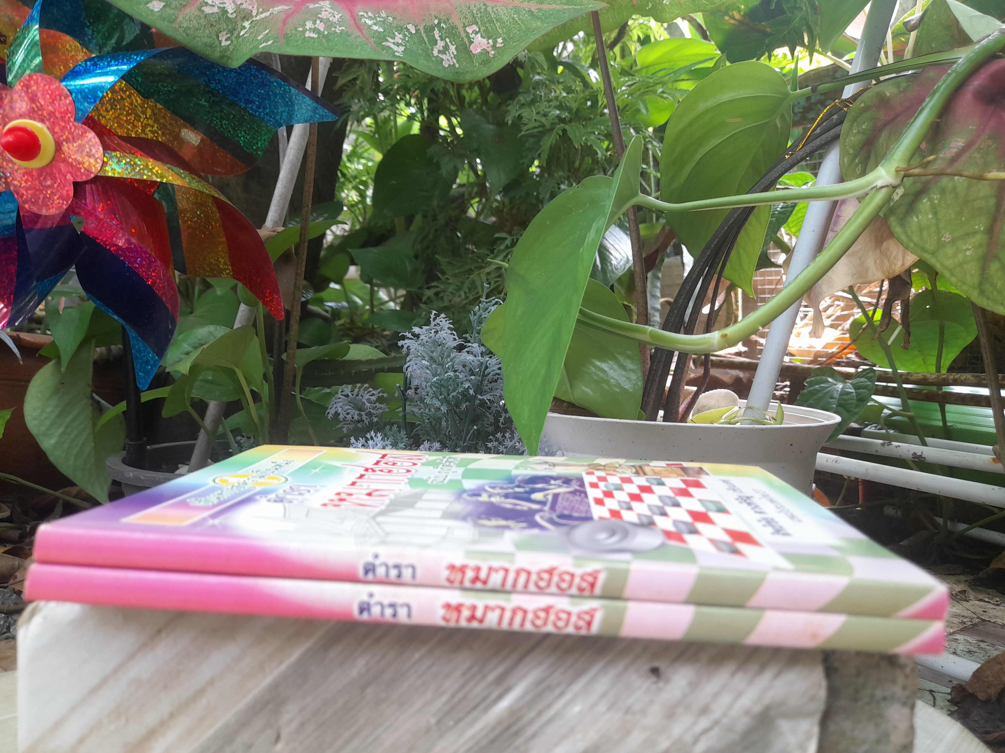 ตำราหมากฮอส ฉบับภูเก็ต - ตัวที โดย สิทธิชัย ดวงหิรัญ (เซียนเดฟ) แชมป์แห่งประเทศไทย ปี พ.ศ. 2527