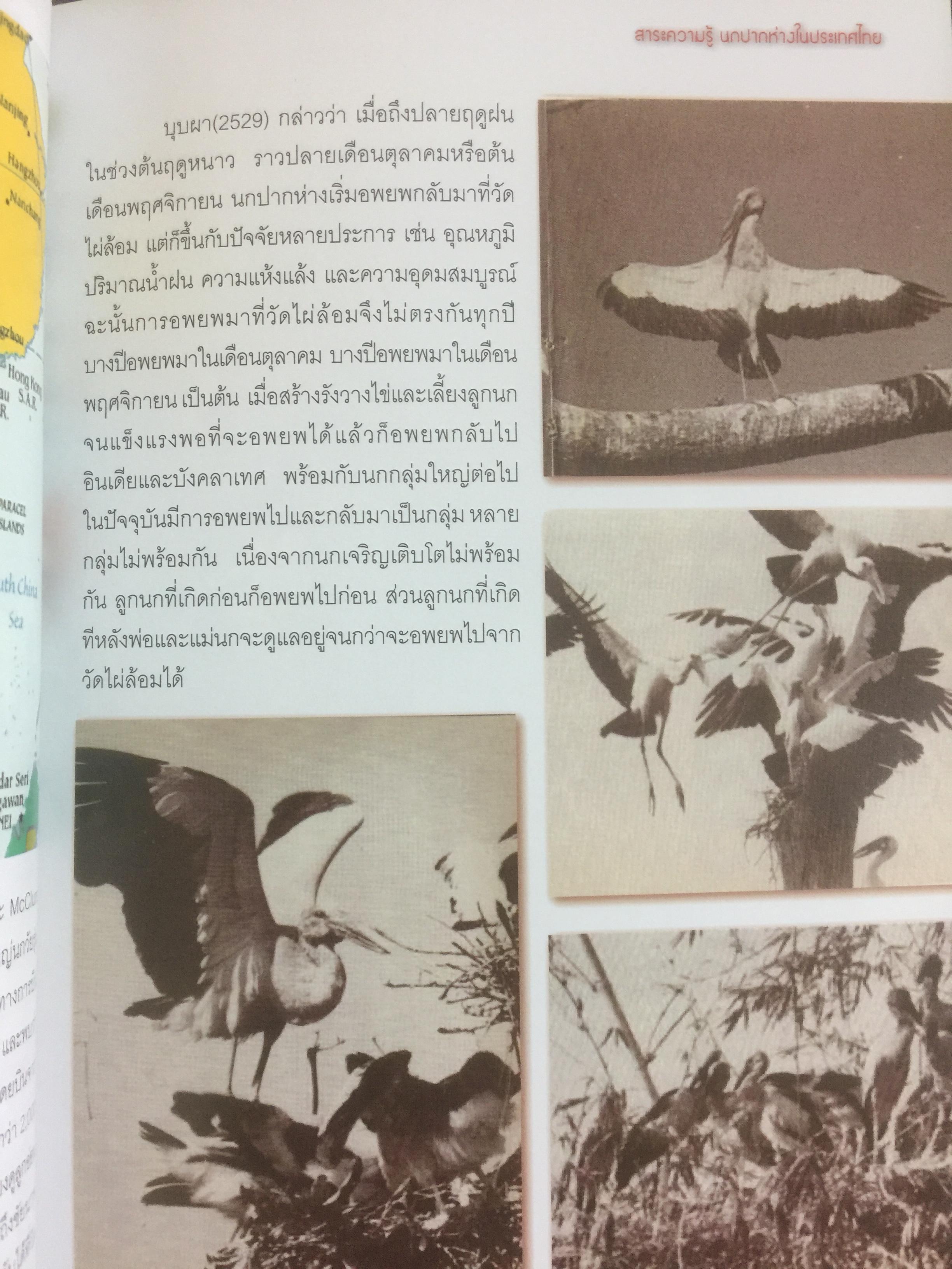 สาระความรู้ นกปากห่าง ในประเทศไทย. ผู้เขียน ไกรรัตน์ เอี่ยมอำไพและคณะ 0 กก.