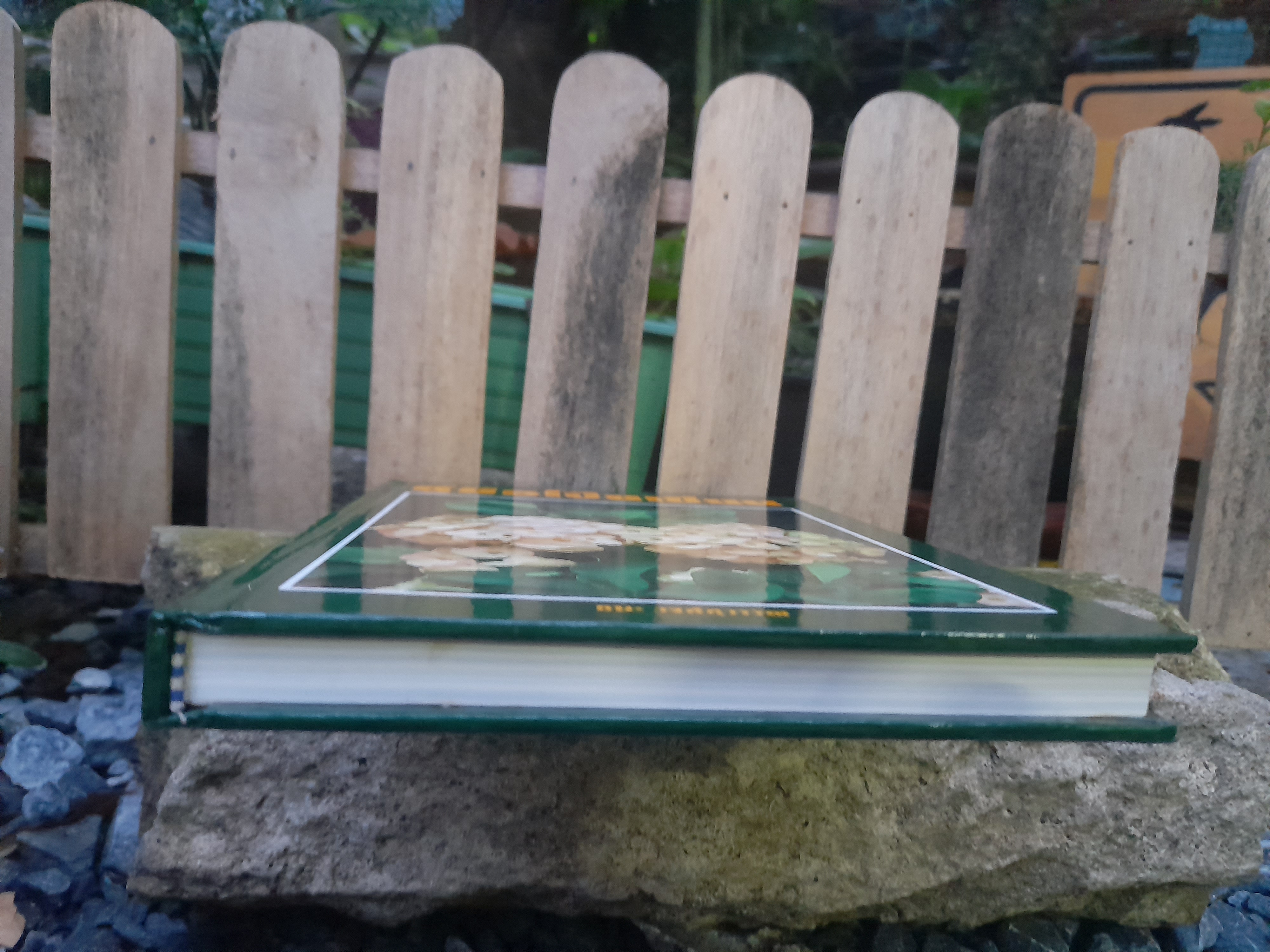 คู่มือโป๊ยเซียน EUPHORBIACEAE โดย : ชนะ วงศ์สุวรรณ