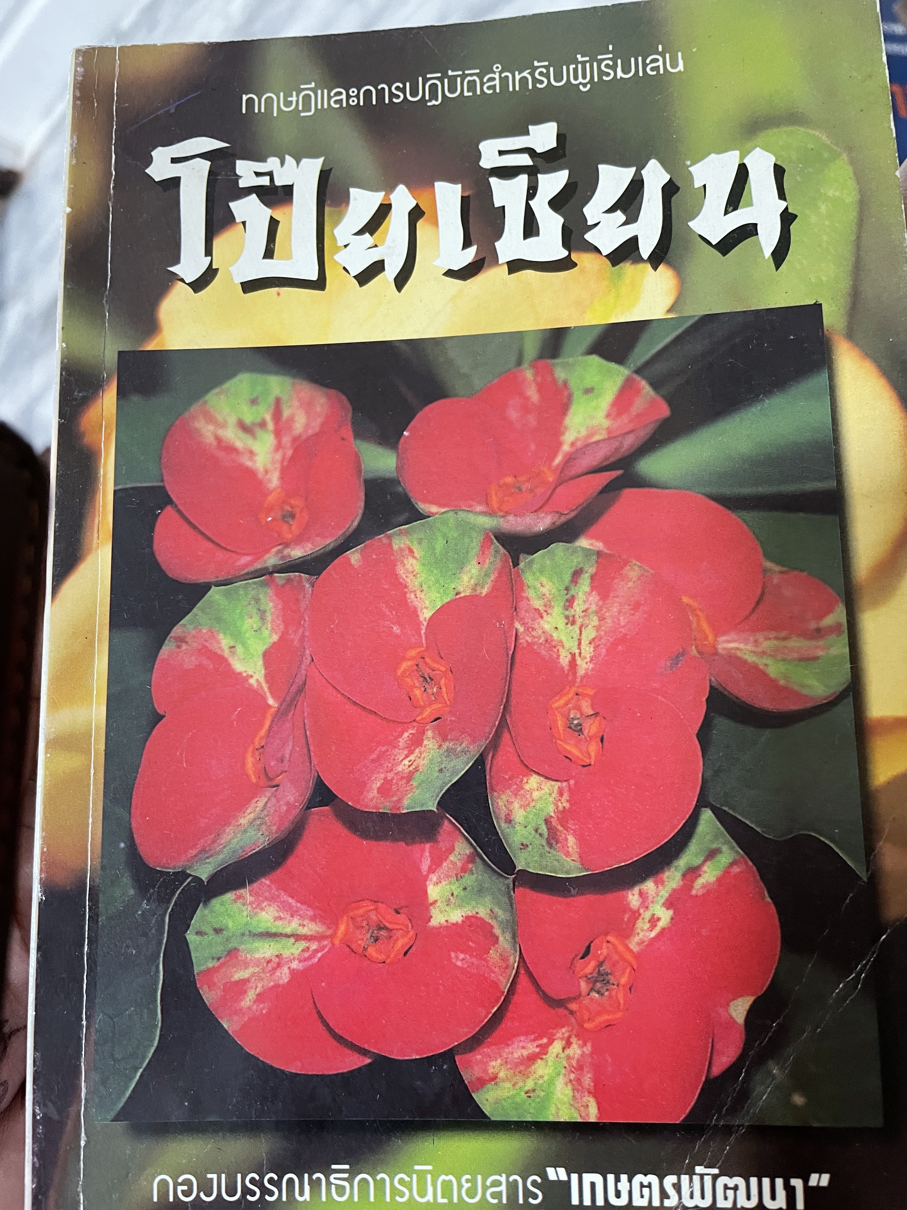 โป๊ยเซียน ทฤษฎีและการปฎิบัติสำหรับผู้เริ่มเล่นโป๊ยเซียน จัดทำโดยกองบรรณาธิการนิตรสารเกษตรพัฒนา 0 กก.