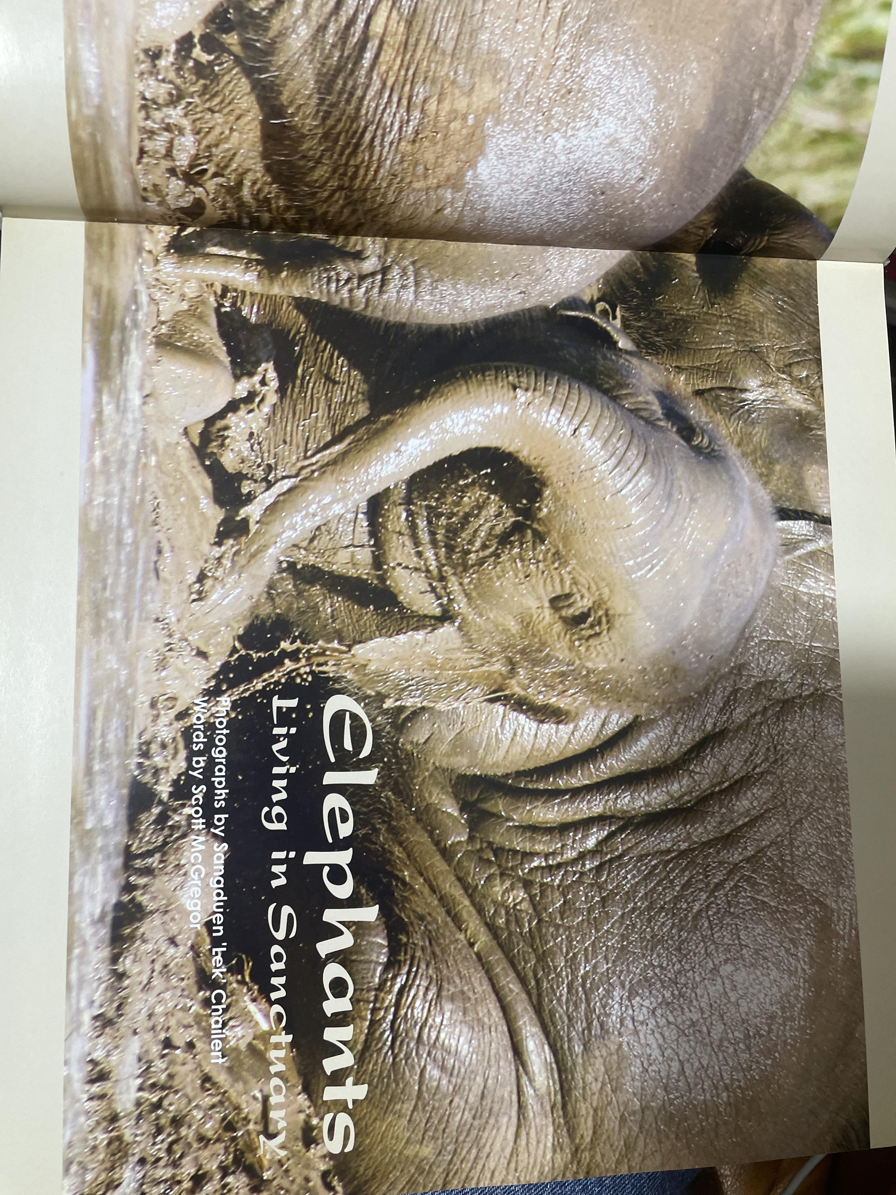 Elephants Living in Sanctuary 3 กก.