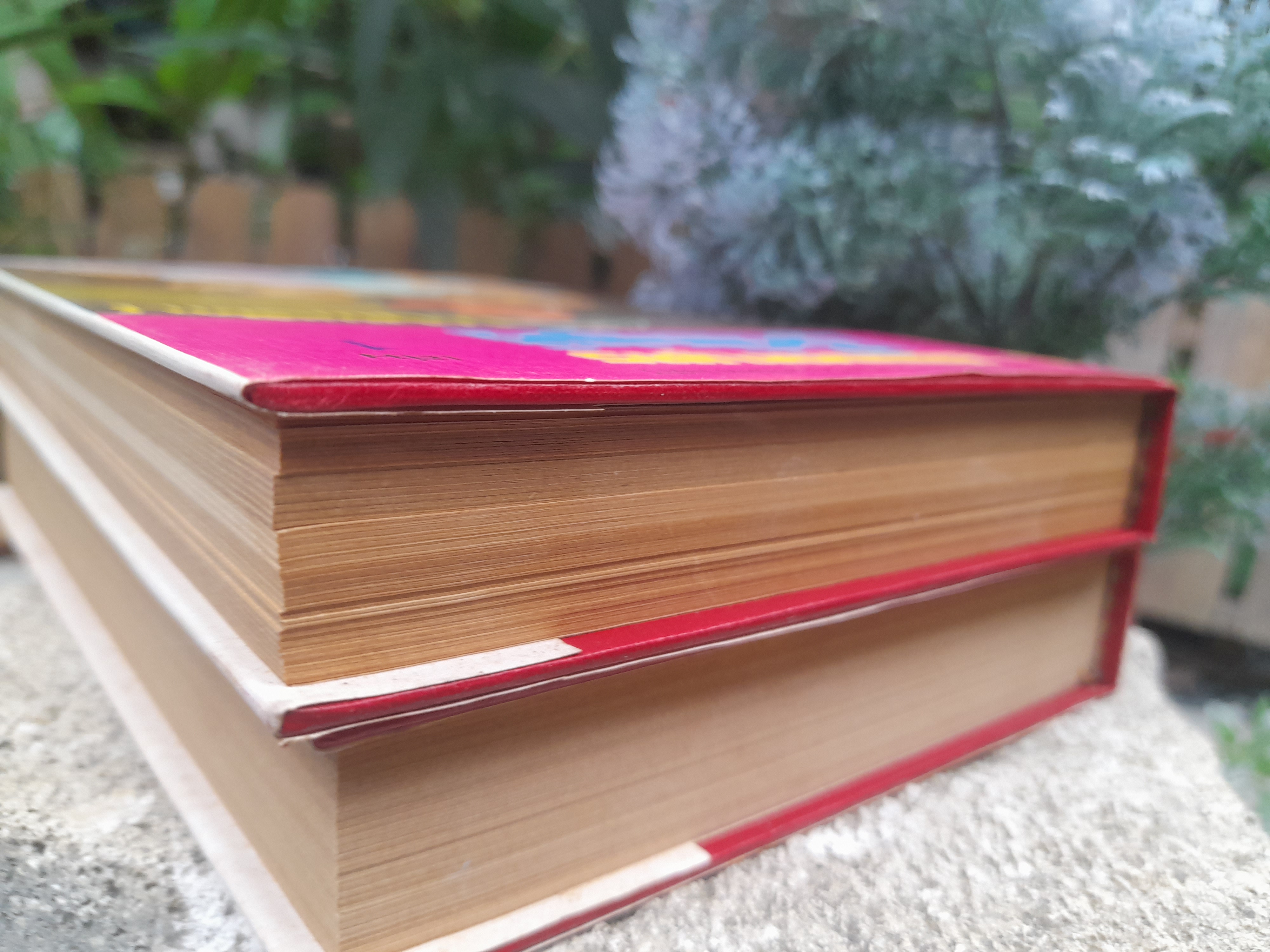 สองเทพบุตรโลกันตร์ จำนวน 2 เล่มจบ โดย น.นพรัตน์