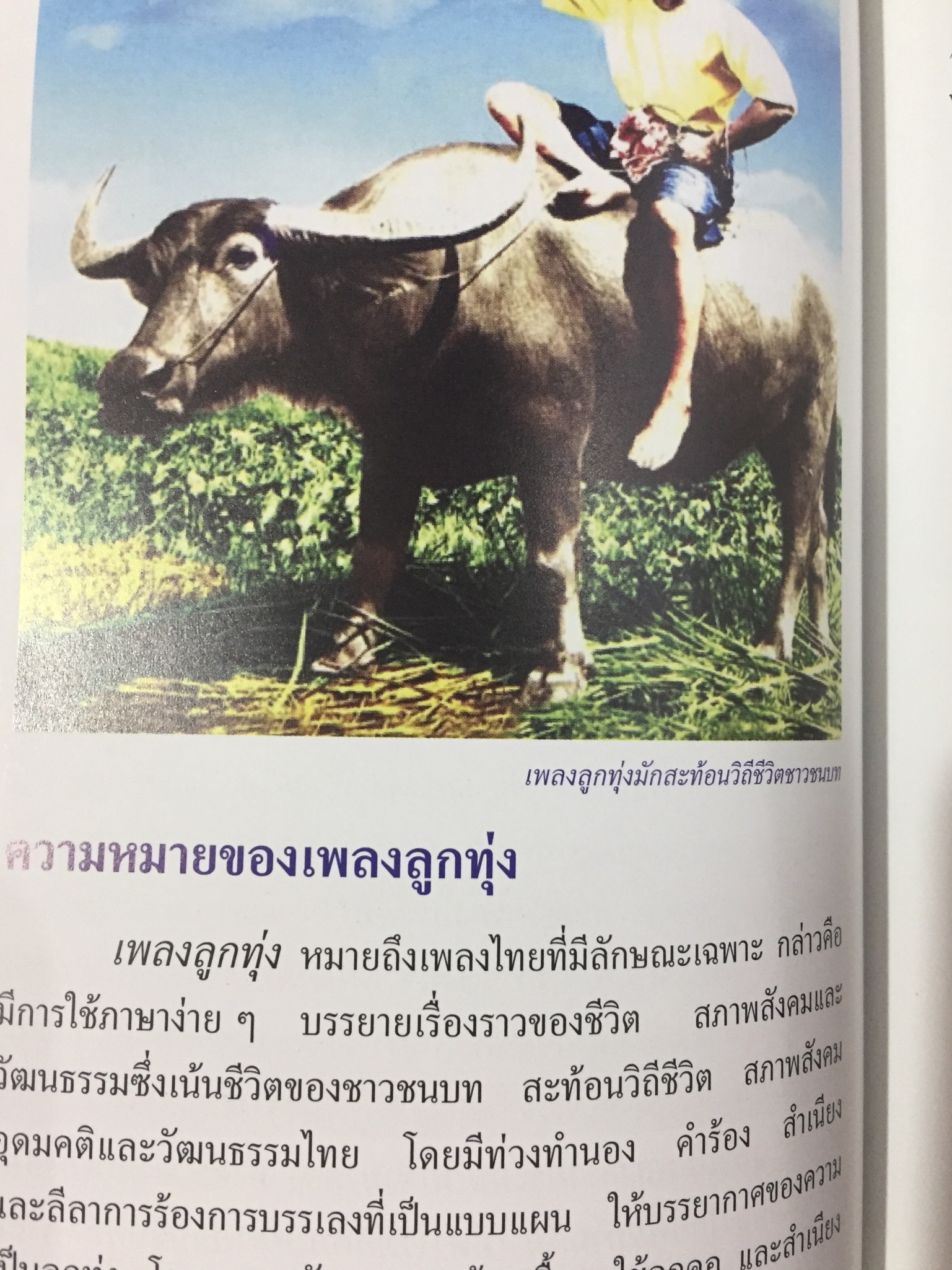 ลิเก. เพลงลูกทุ่ง. เพลงพื้นบ้าน. เป็นหนังสือสารานุกรมไทยสำหรับเยาวชน เล่มที่ 15 0 กก.