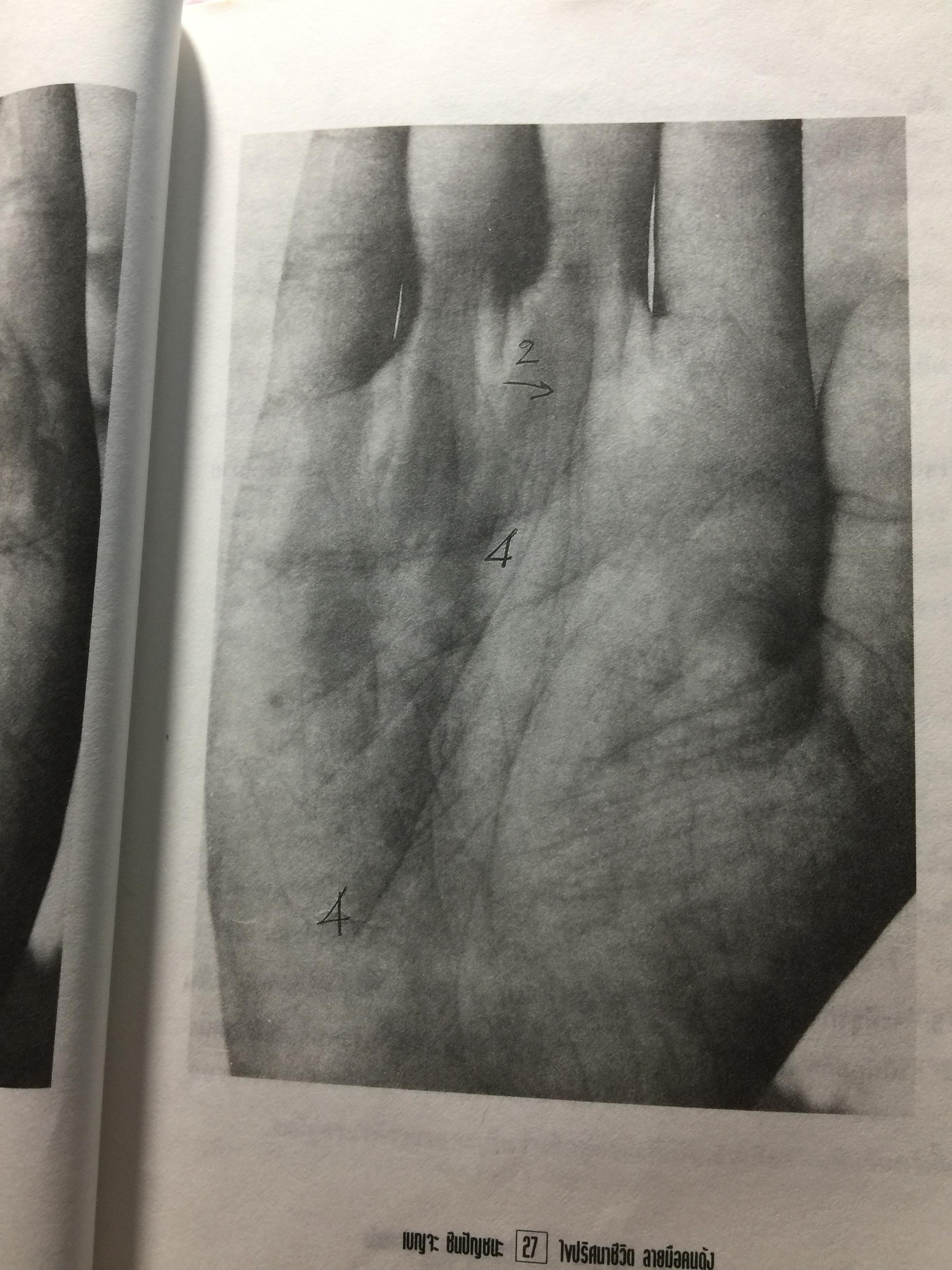 ไขปริศนาชีวิต ลายมือคนดัง เรียนรู้เรื่องราวชีล่วงหน้าจากลิขิตฝ่ามือคนดัง ผู้เขียน เบญจะ ขินปัญชนะ 800 กรัม