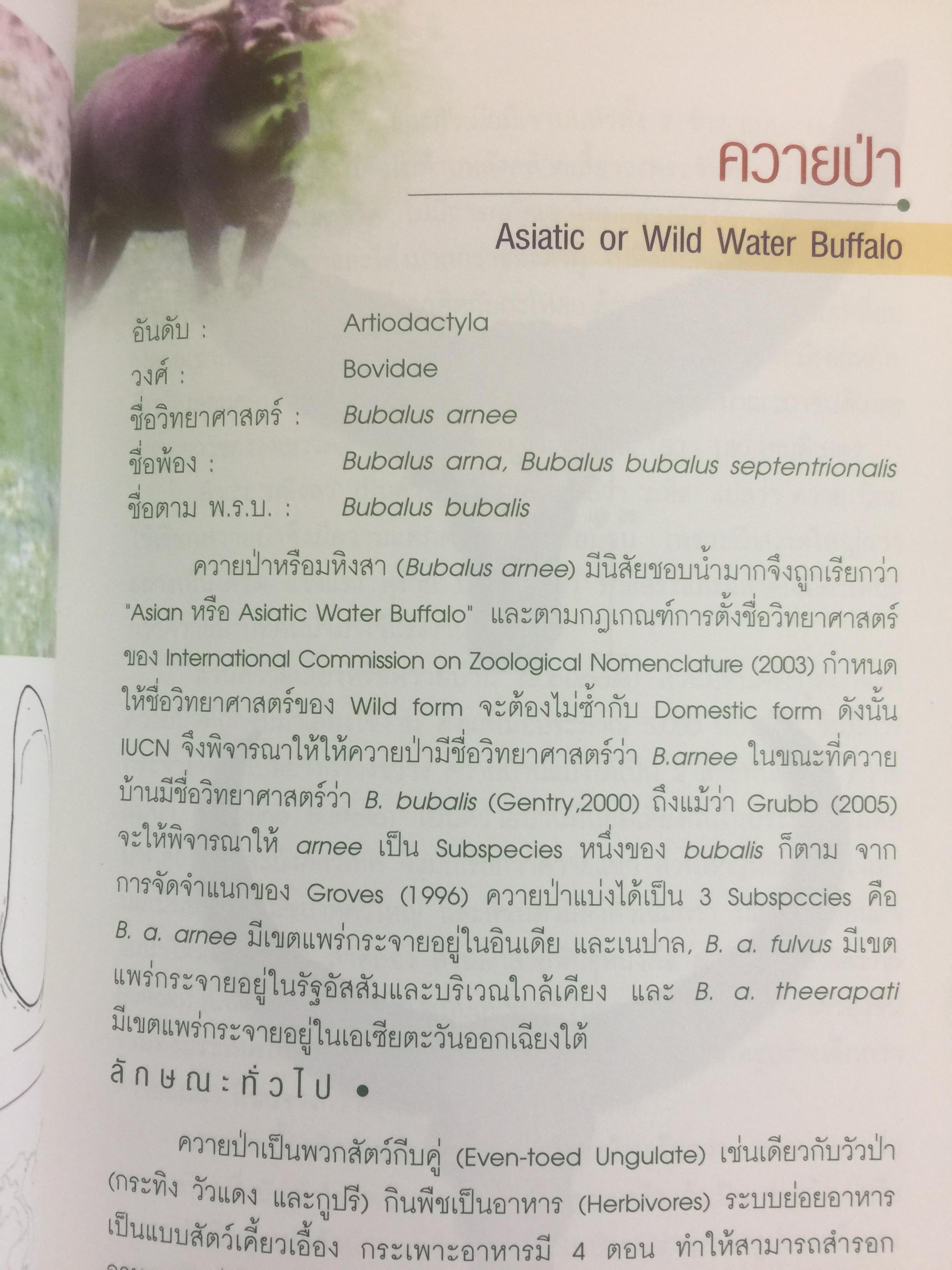 สัตว์ป่าสงวนในประเทศไทย Reserved Animals of Thailand 0 กก.