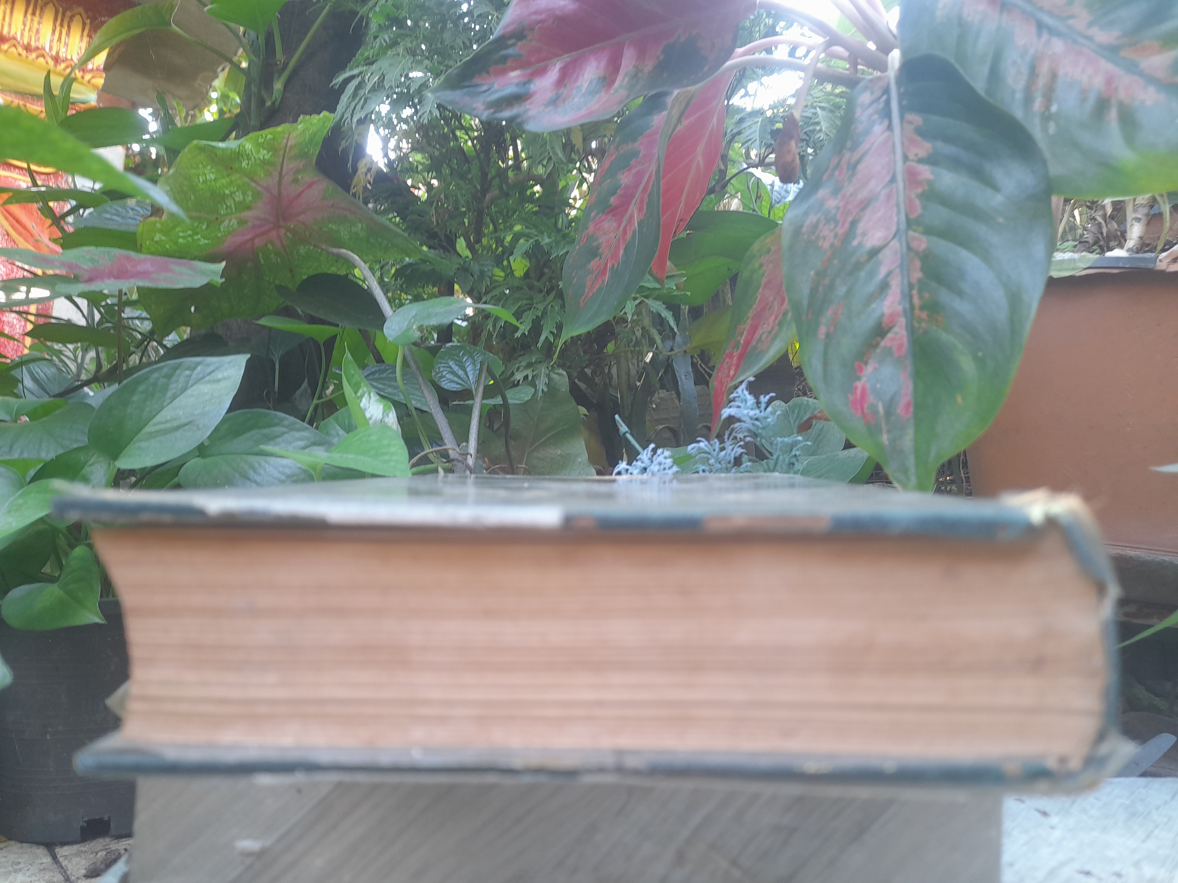 วิถีแห่งสุขภาพ โดย ฮิวเบอร์ต โอ. สวอร์เทาท์ ว่าด้วยปัญหาสุขภาพที่พึงรู้ ใช้ศัพท์ทั่วไปเข้าใจง่าย เพื่อสุขภาพอนามัยที่ดี