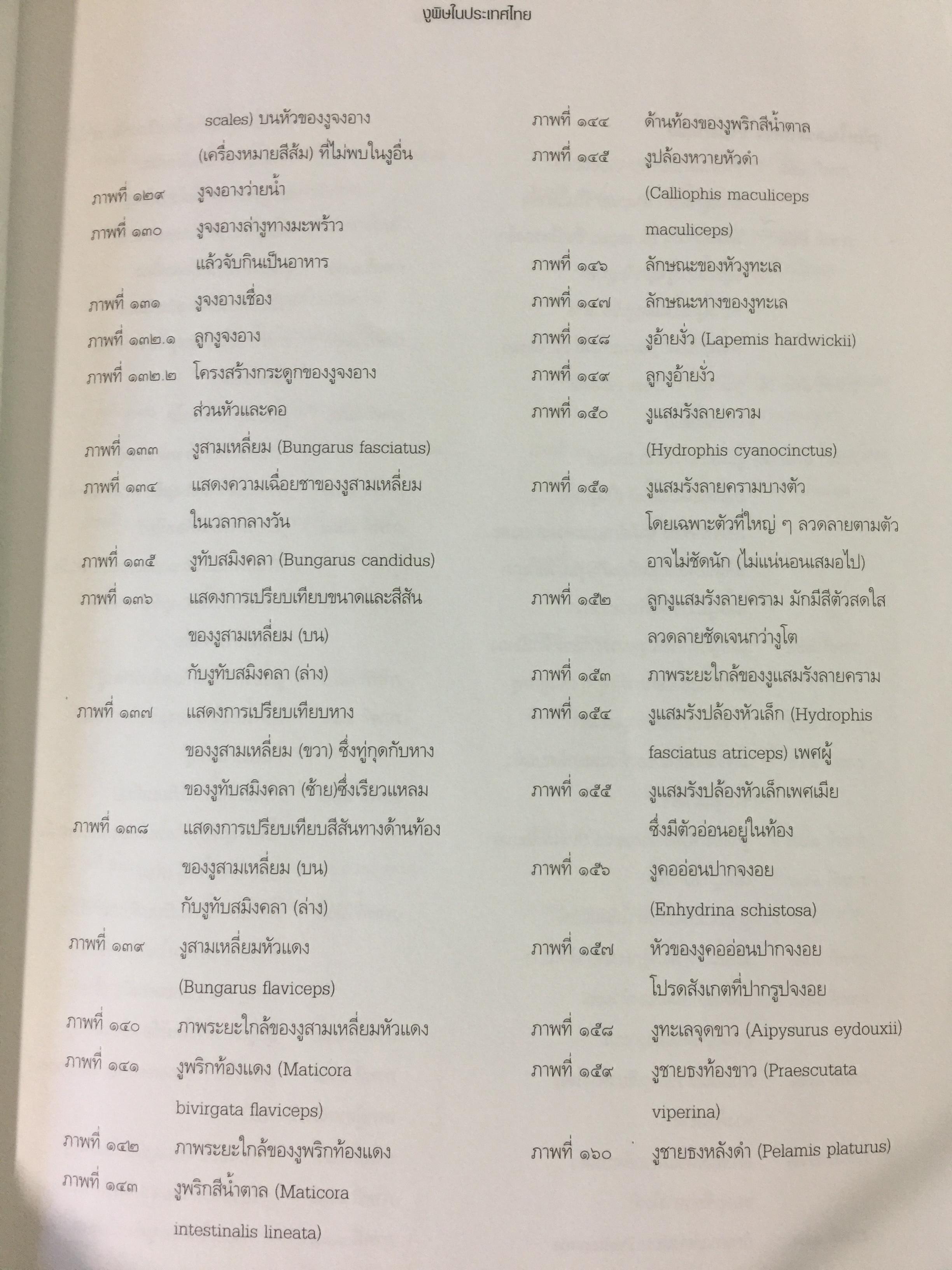 งูพิษ ในประเทศไทย ทุกแง่มุมชีวิตและลักษณะนิสัยของงูพิษ โดยผู้เชี่ยวชาญเรื่องงูมากที่สุดในประเทศไทยผู้เขียน ไพบูลย์ จินตกุล 0 กก.