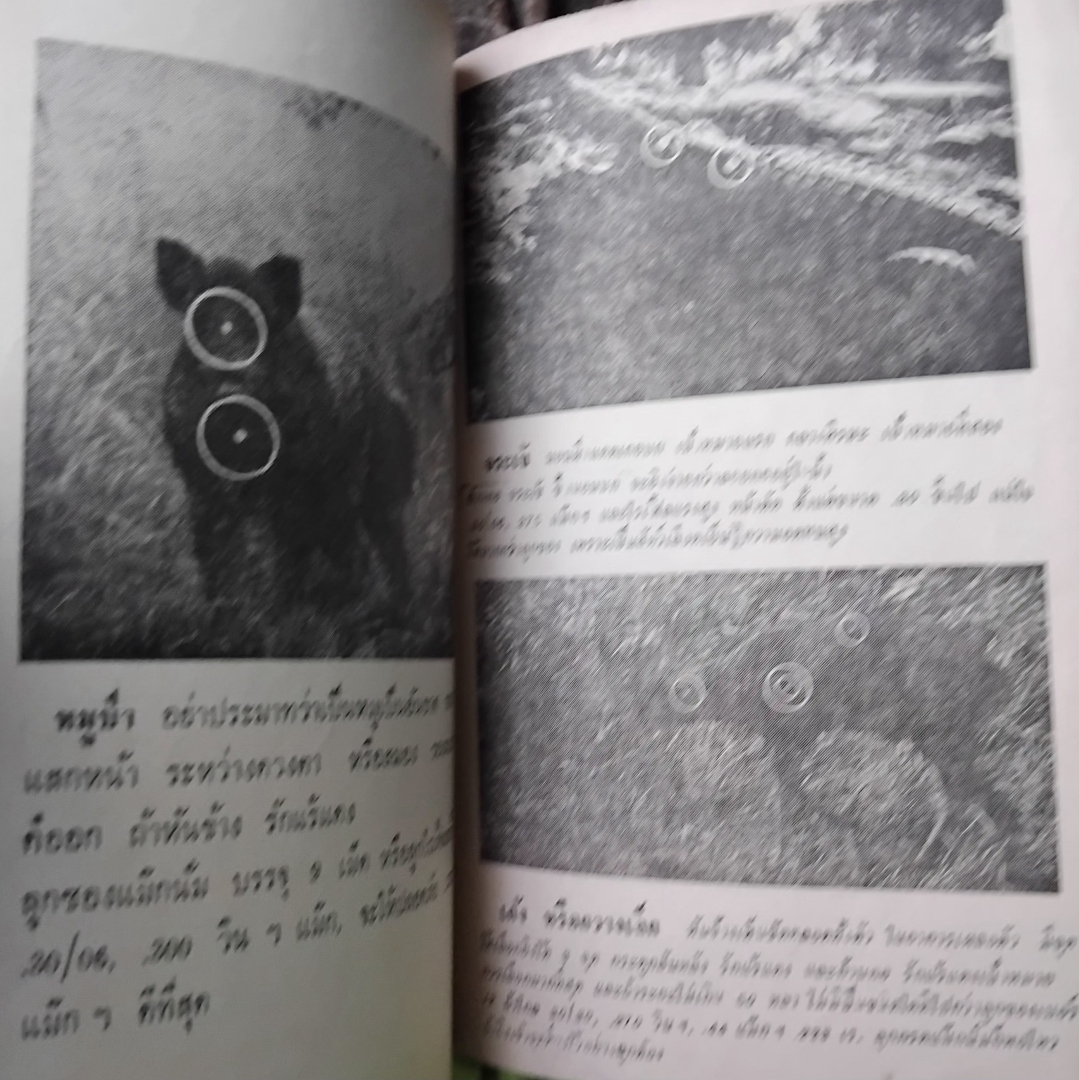 คู่มือล่าสัตว์ อภินันทนาการจาก ผ่านฟ้าพิทยา แด่ผู้อ่านเพชรพระอุมาและนักนิยมไพร ✅️หายากกว่าเพชรพระอุมา สะสม