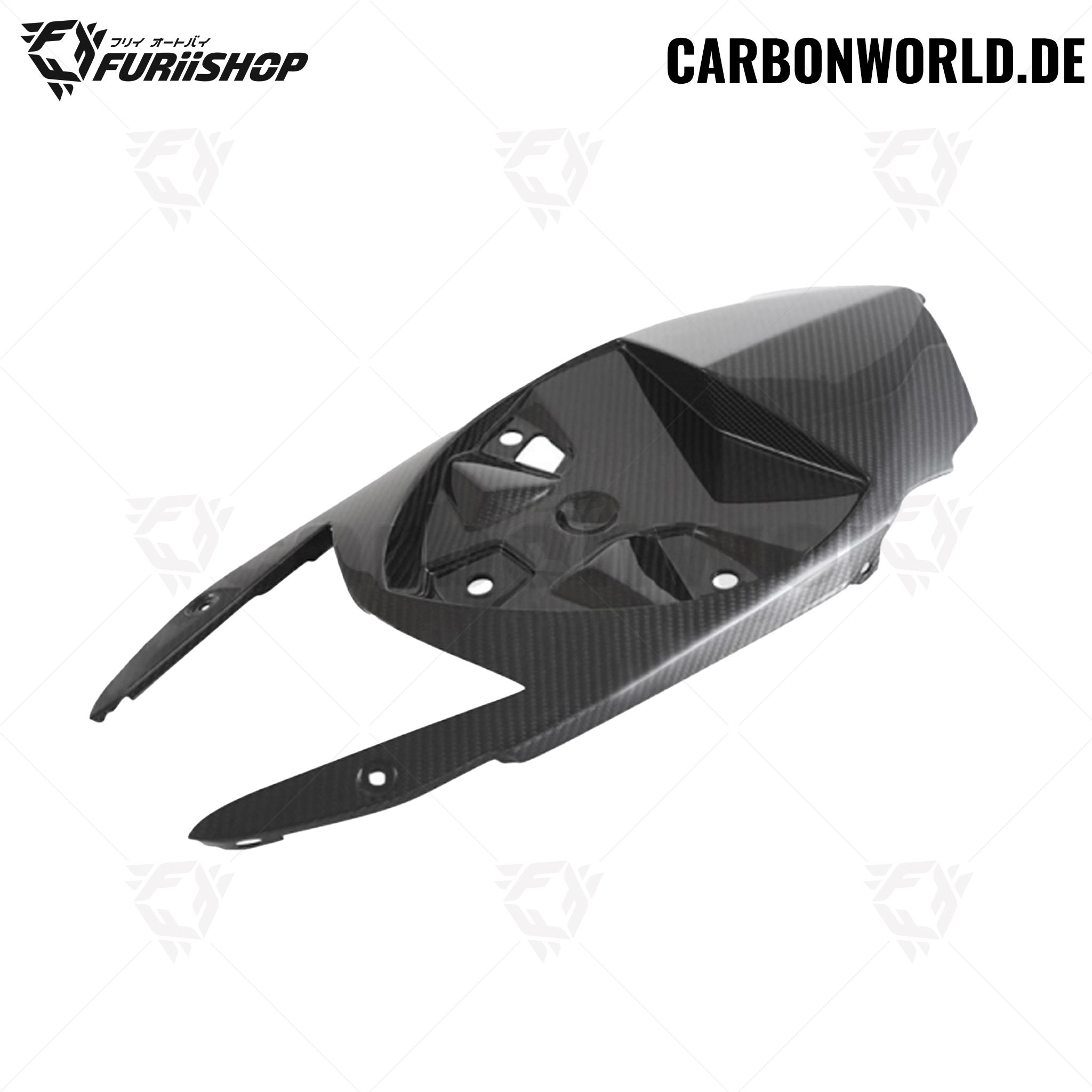 UNDERTAIL CARBON WORLD For : S1000R