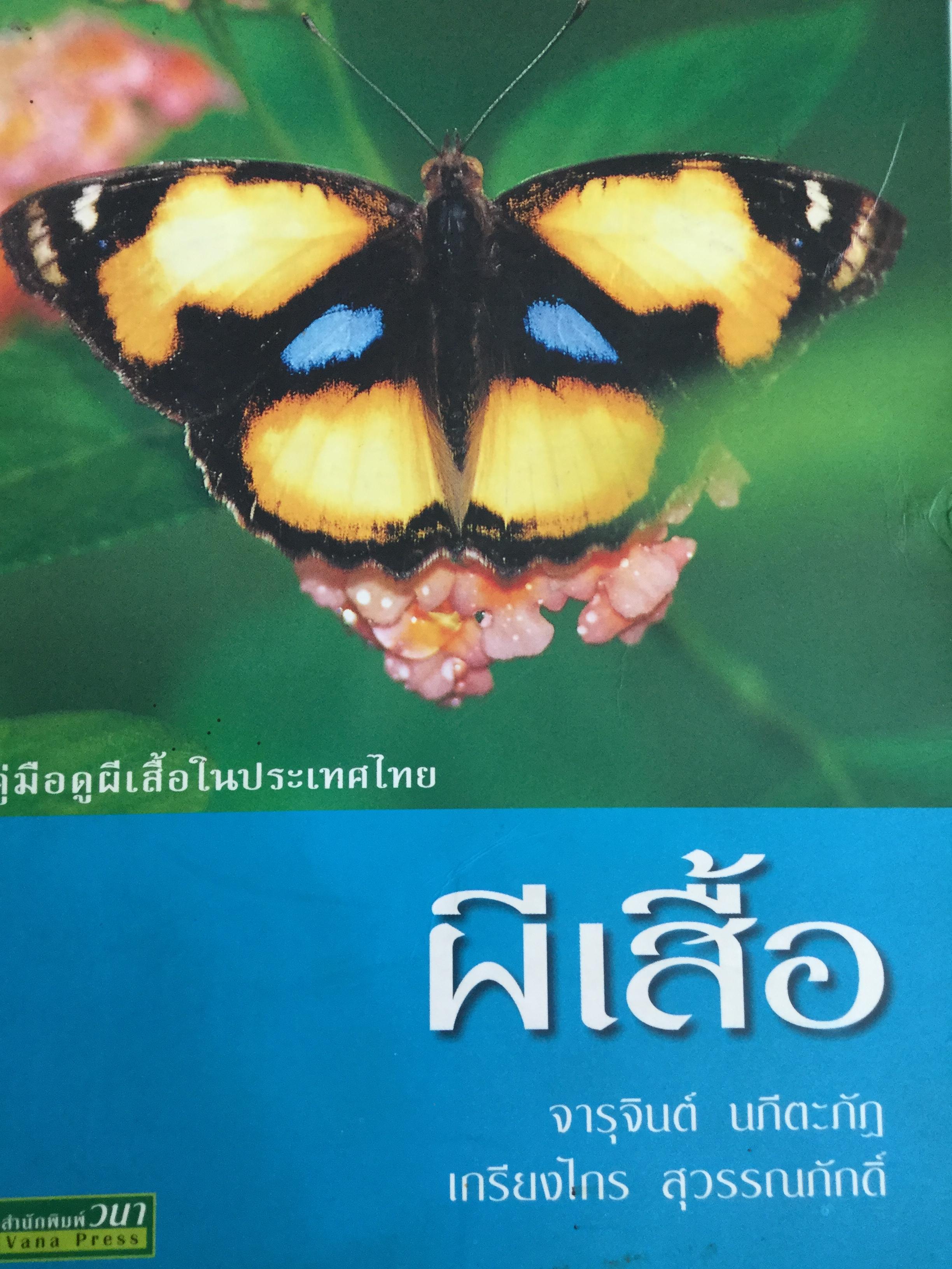 ผีเสื้อ คู่มือดูผีเสื้อในประเทศไทย. ผู้เขียน จารุจินต์ นภีตะภัฎ และ เกรียงไกร สุวรรณภักดิ์ 0 กก.