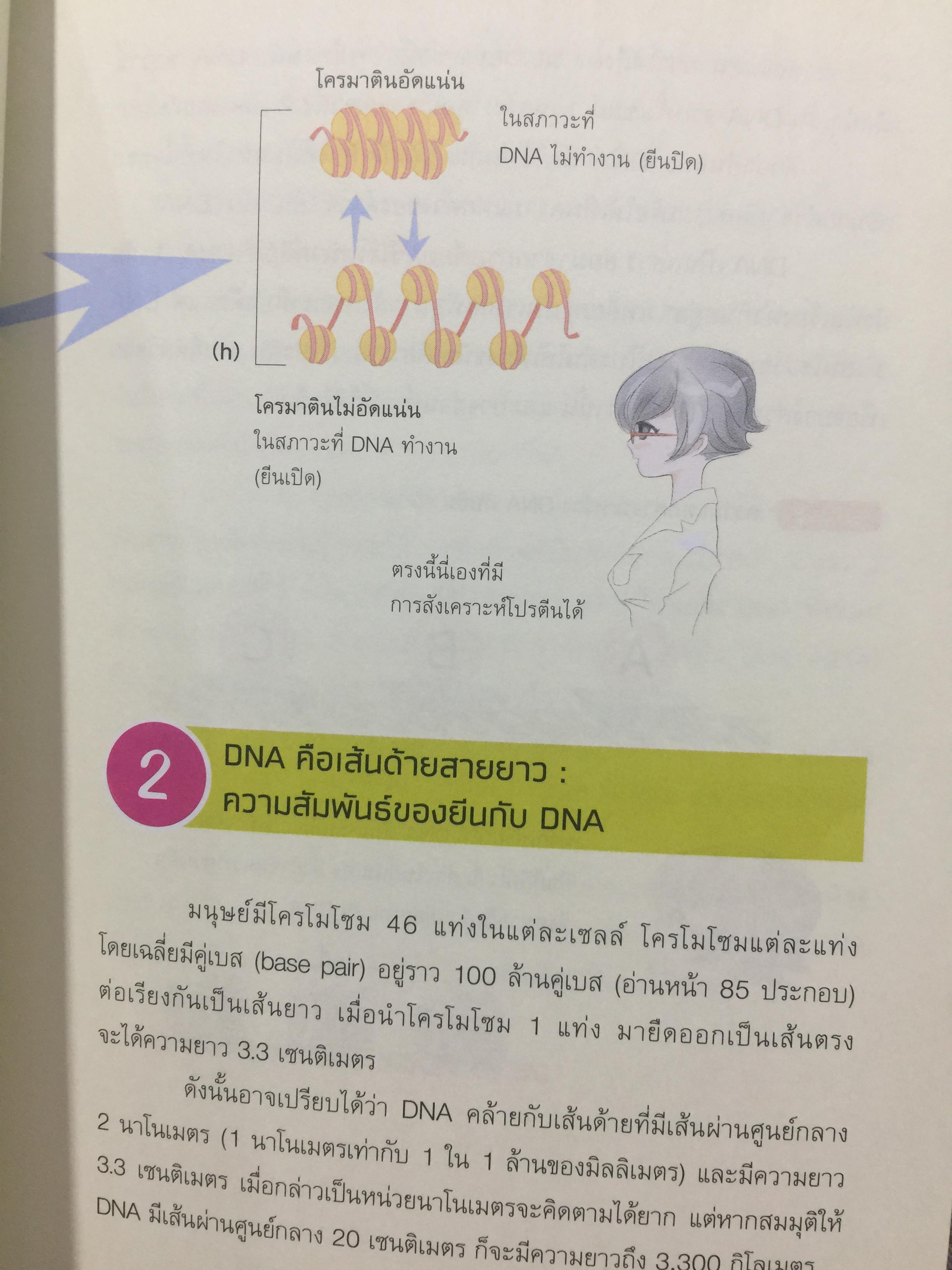 DNA ฉบับการ์ตูน. ความรู้พื้นฐานเรื่อง DNA. RNA สารพันธุกรรมในร่างกายมนุษย์ ฉบับอ่านสนุก เข้าใจง่าย อ่านสนุก โดย Satoshi. Ikuta. แปลและเรียบเรียงโดย รศ.ดร.ศักดา ดาดวง 0 กก.