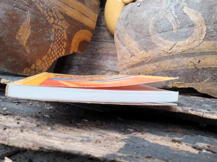 วิจัยปัญหาแหล่งกำเนิดของชาติไทย