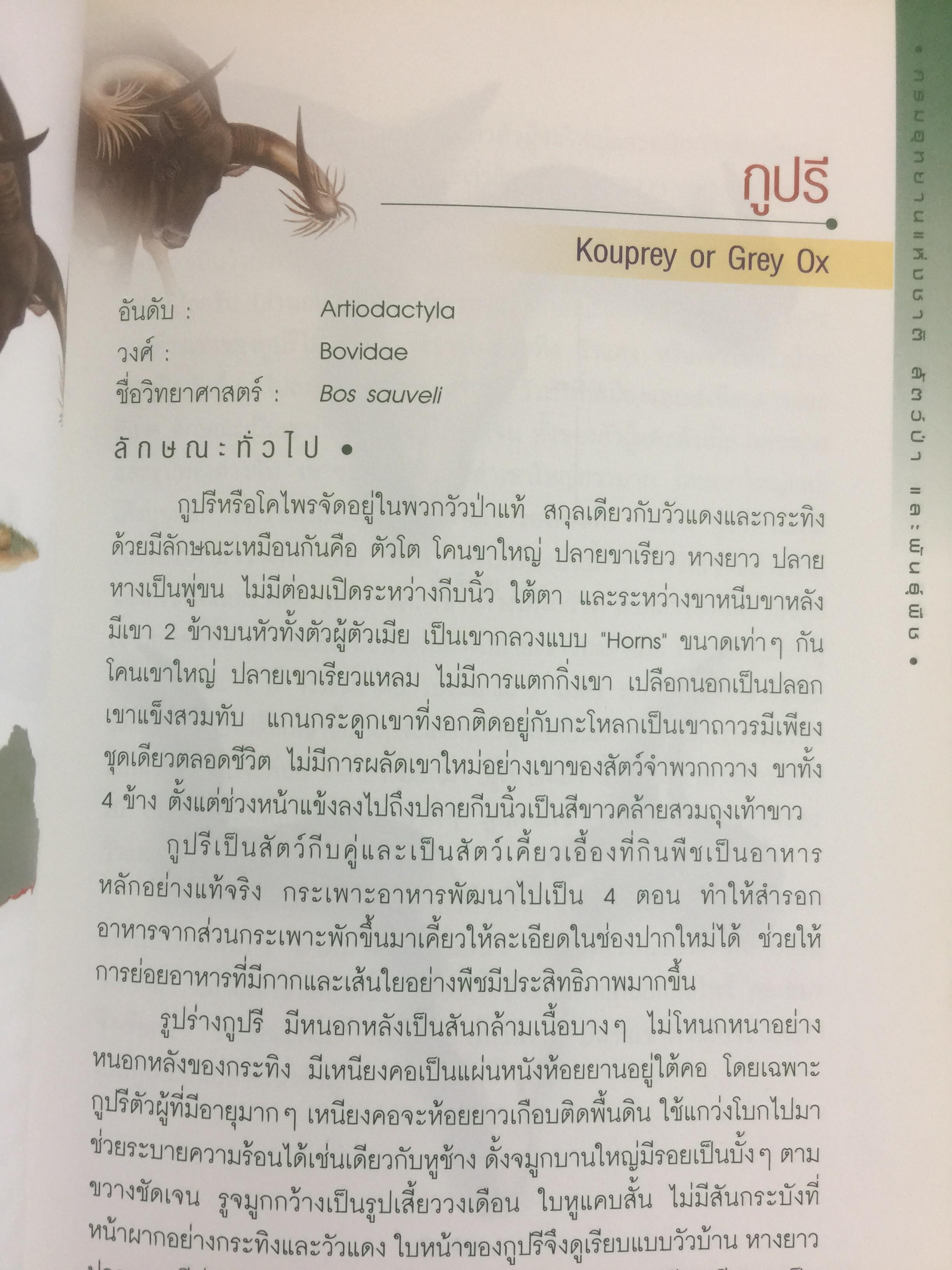 สัตว์ป่าสงวนในประเทศไทย Reserved Animals of Thailand 0 กก.