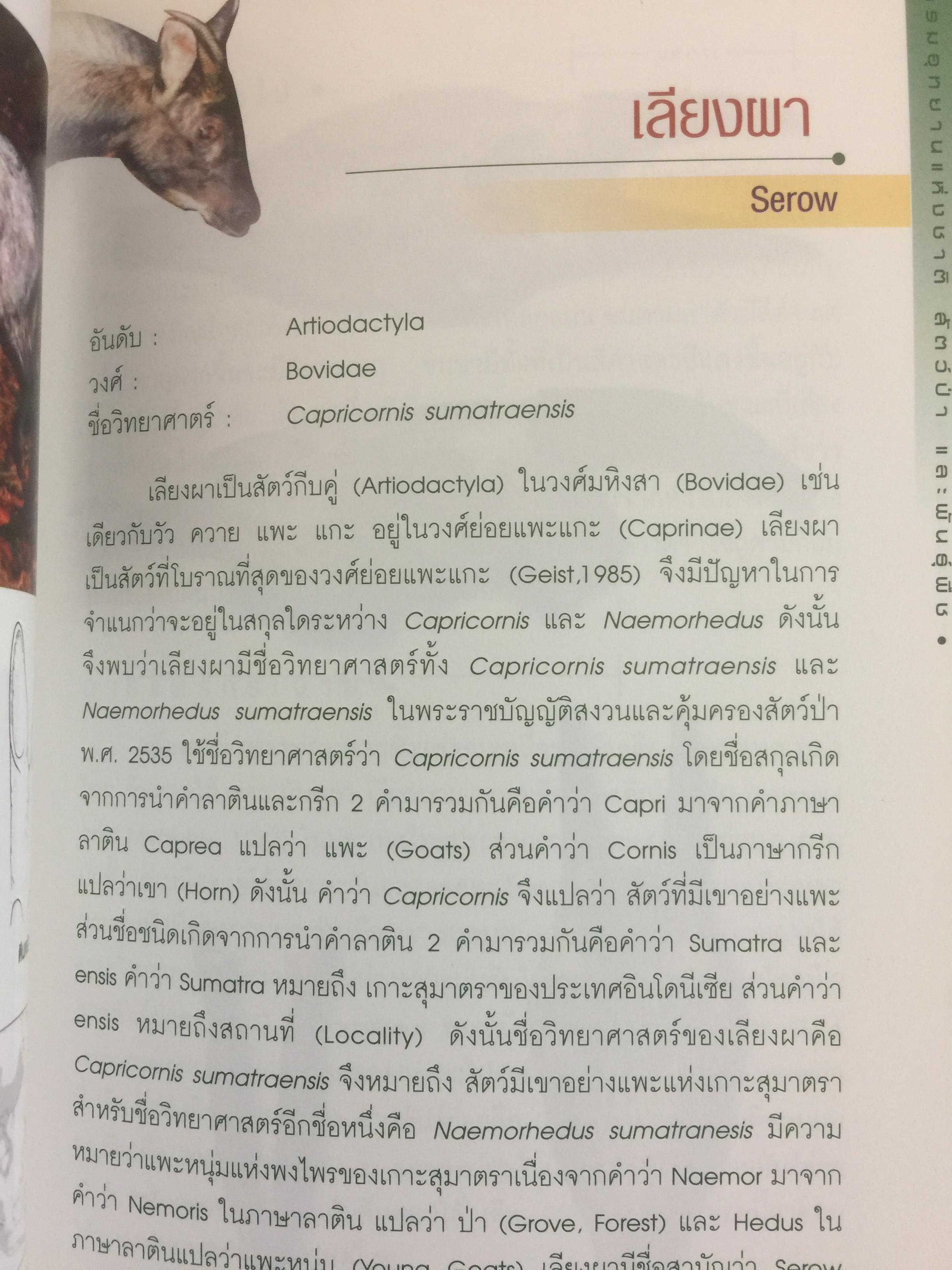 สัตว์ป่าสงวนในประเทศไทย Reserved Animals of Thailand 0 กก.