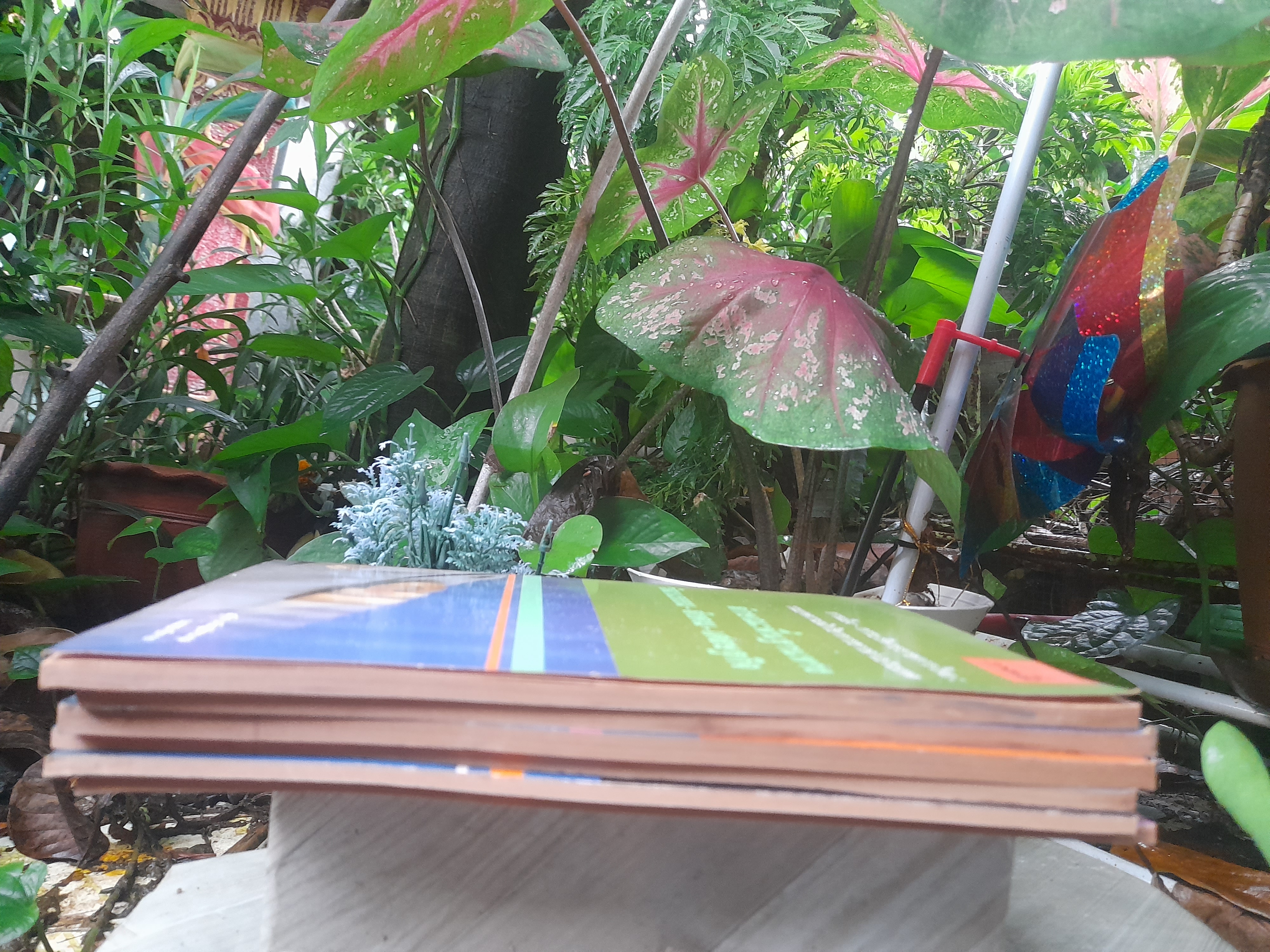 การเมือง-การบริหารราชการไทย รวมบทความนักวิชาการชาวต่างประเทศ ที่น่าสนใจถึง 30 บาทความ