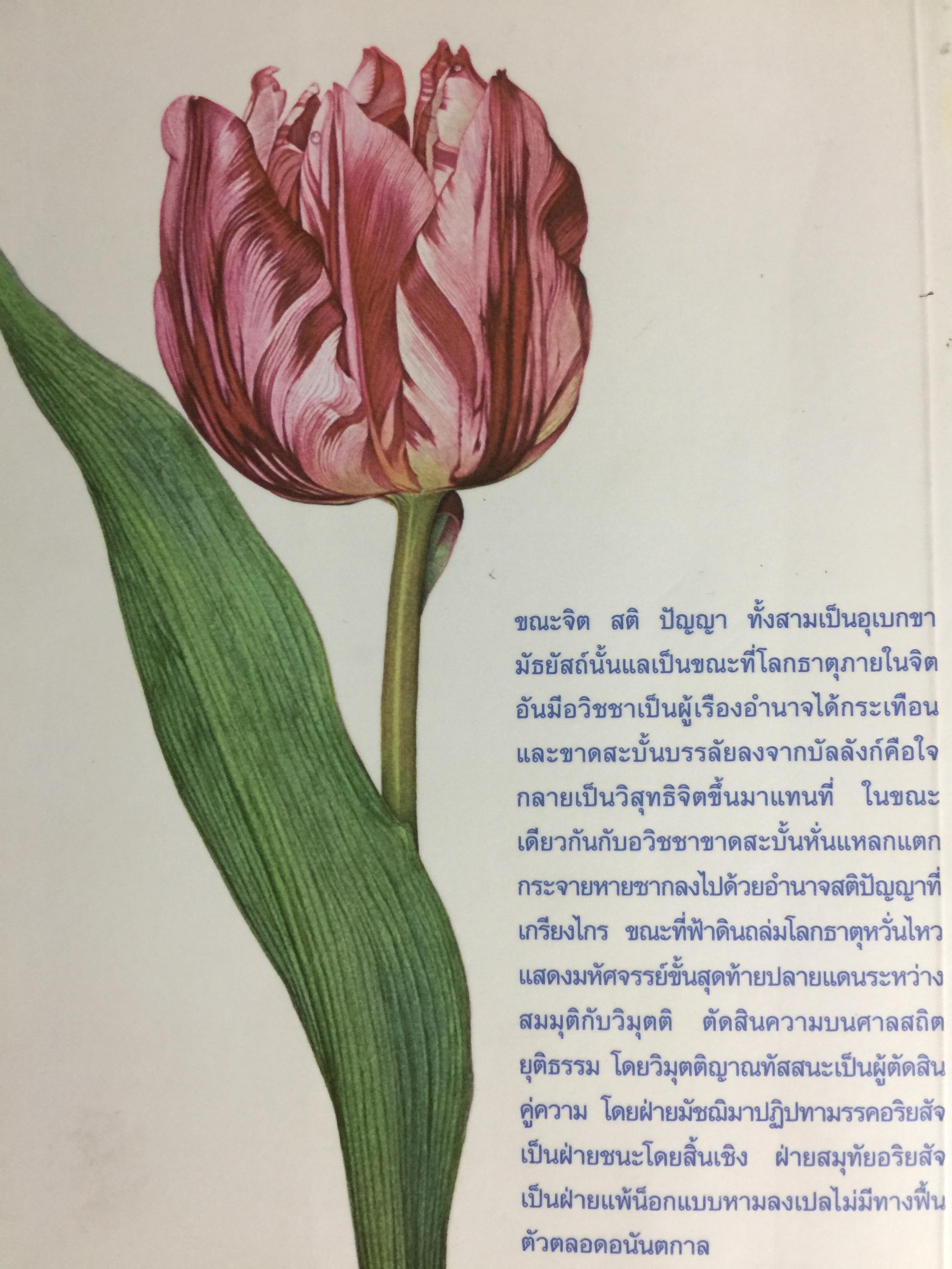 หลักของใจ. ท่านอาจารย์พระมหาบัว ญาณสัมปันโน. 0 กก.
