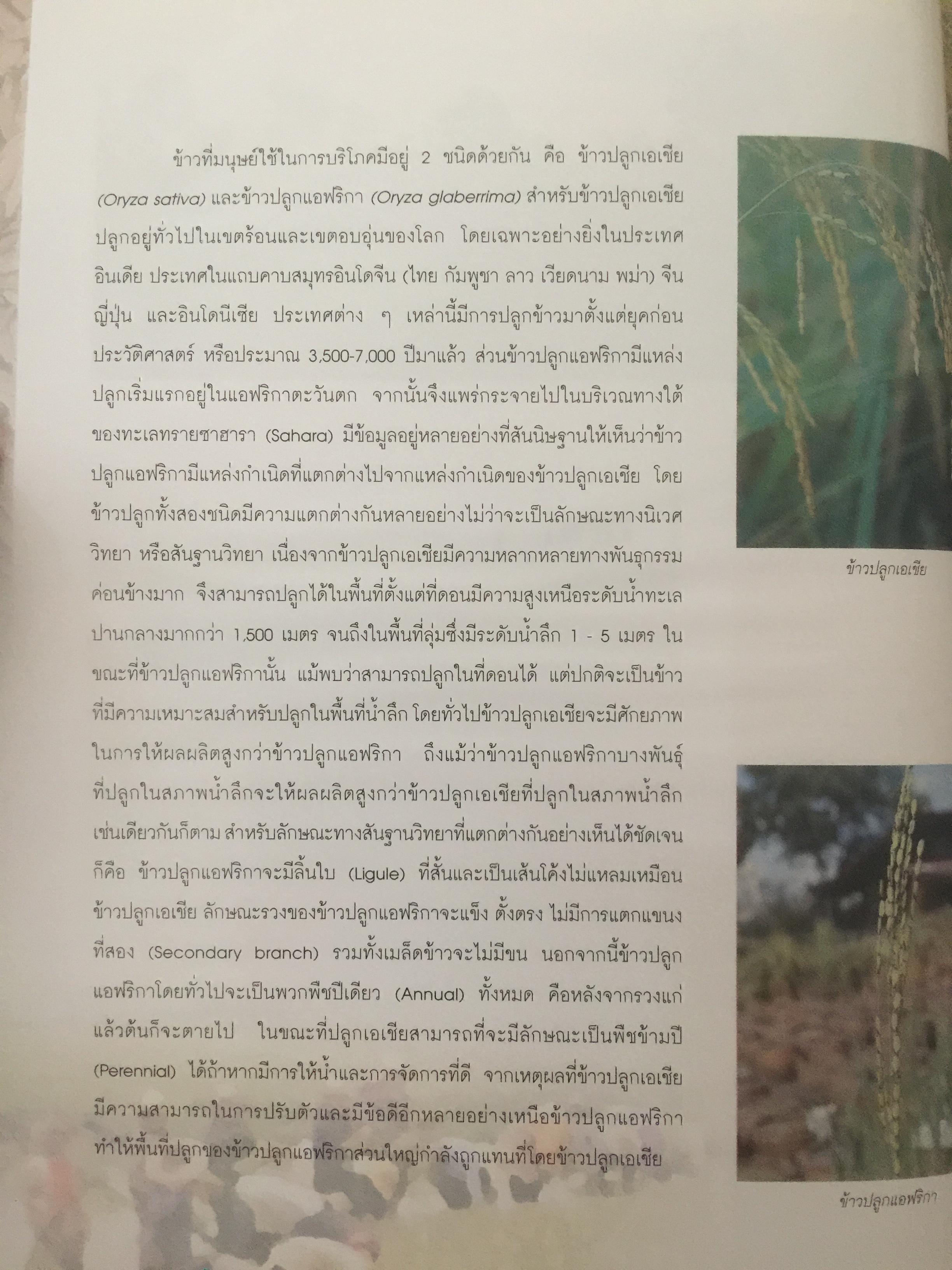 วิวัฒนาการพันธุ์ข้าวไทย. สถาบันวิจัยข้าวไทย กรมวิชาการเกษตร 0 กก.