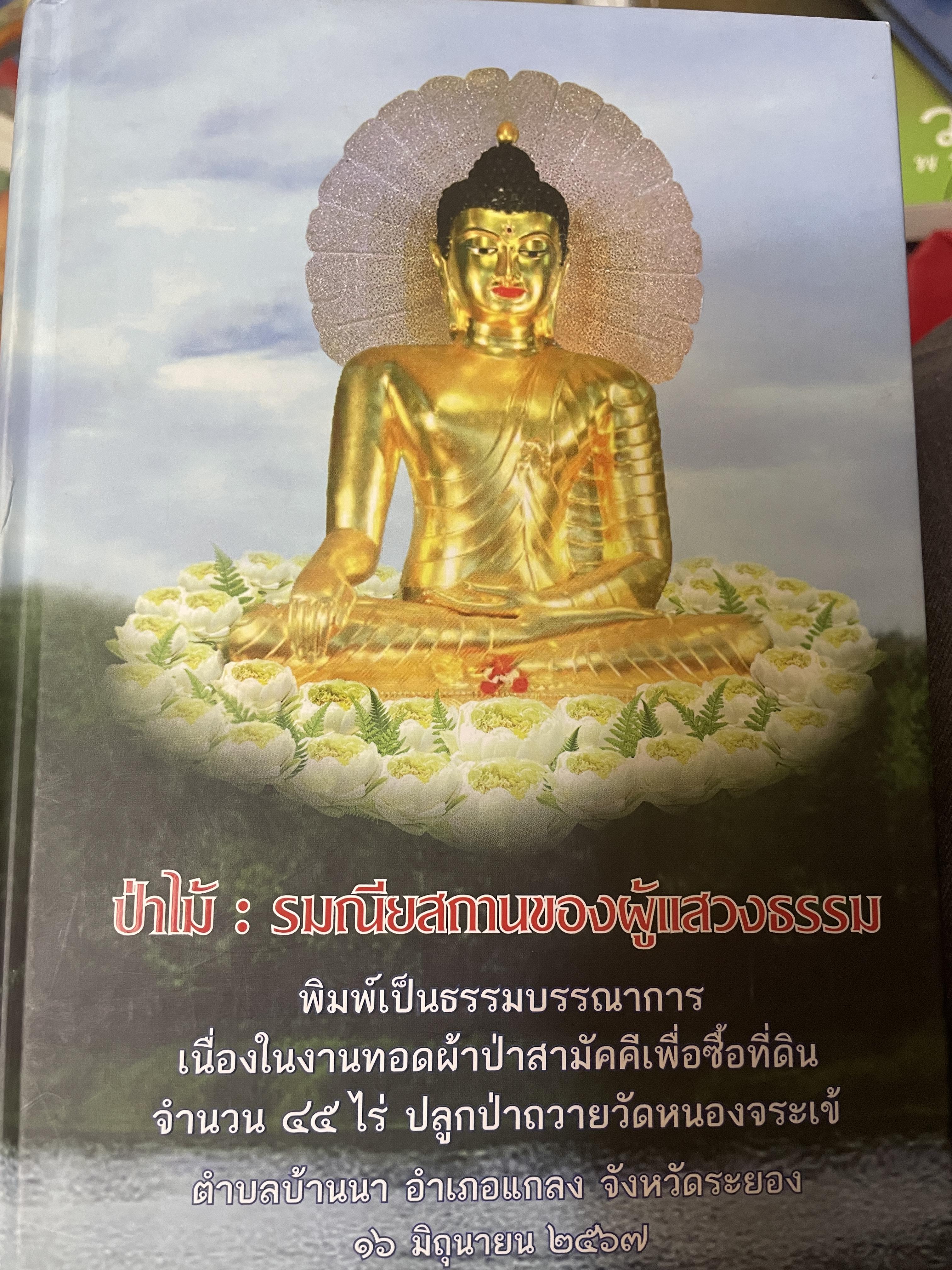 ป่าไม้ : รมณียสถานของผู้แสวงธรรม 3 กก.