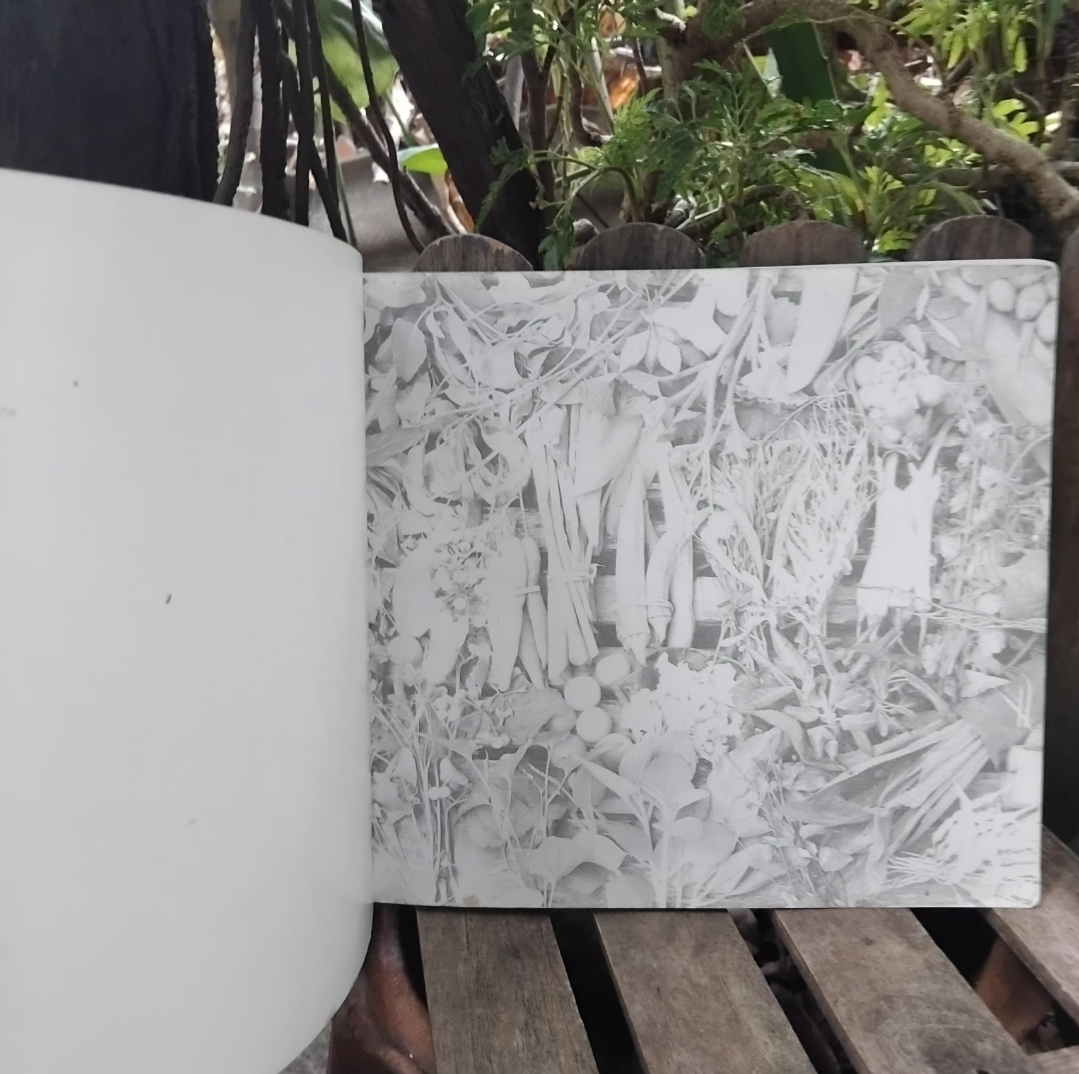 ผักพื้นบ้าน ความหมายและภูมิปัญญาของสามัญชนไทย กำเนิดผักพื้นบ้าน ชนิด-ประโยชน์ทางยา สูตรปรุงอาหาร สะสม