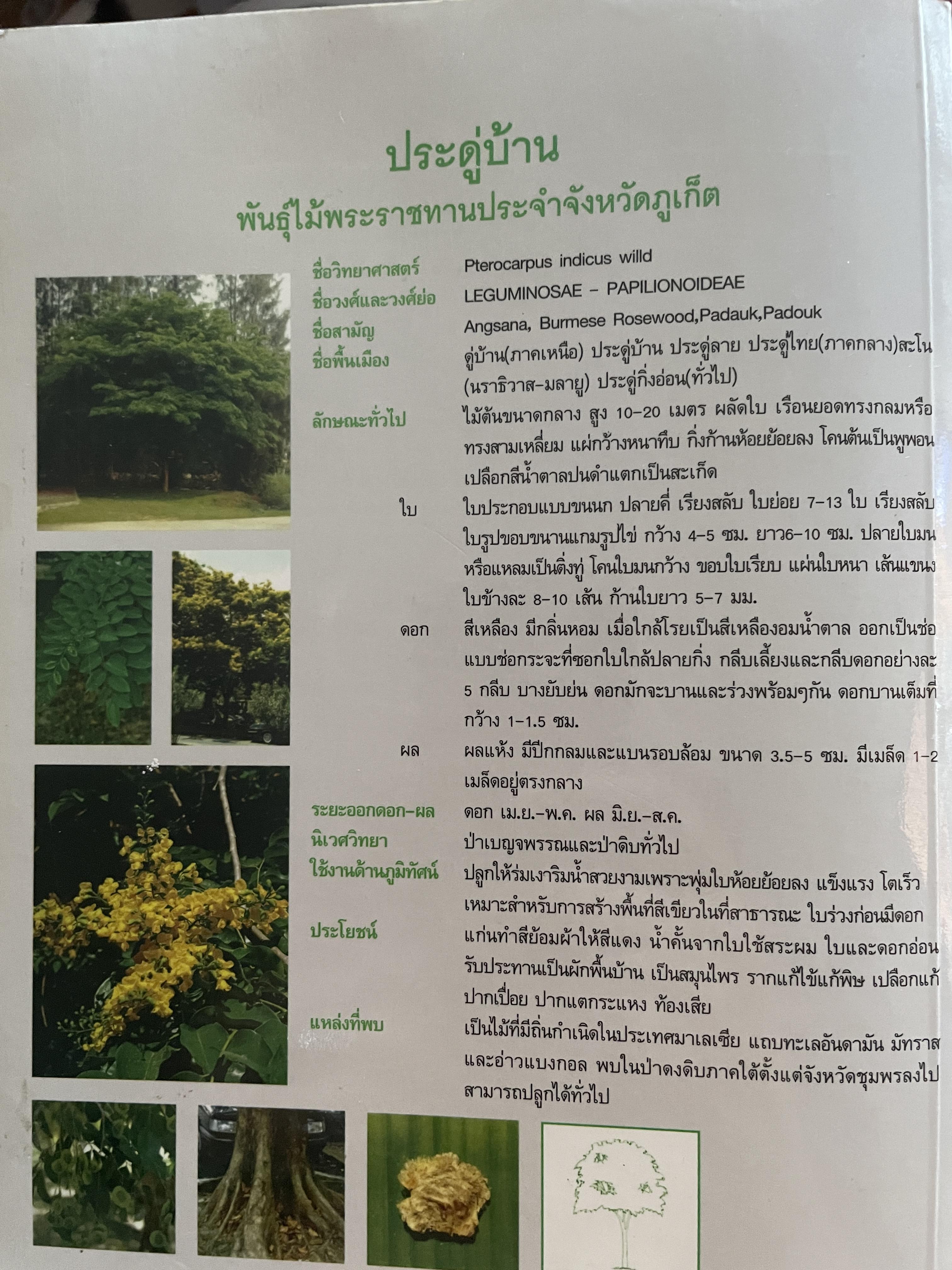 ภูเก็ต ผู้เขียน ฤดี ภูมิภูถาวร โครงการตำราและสื่อโรงเรียนสตรีภุเก็ค 1,800 กรัม